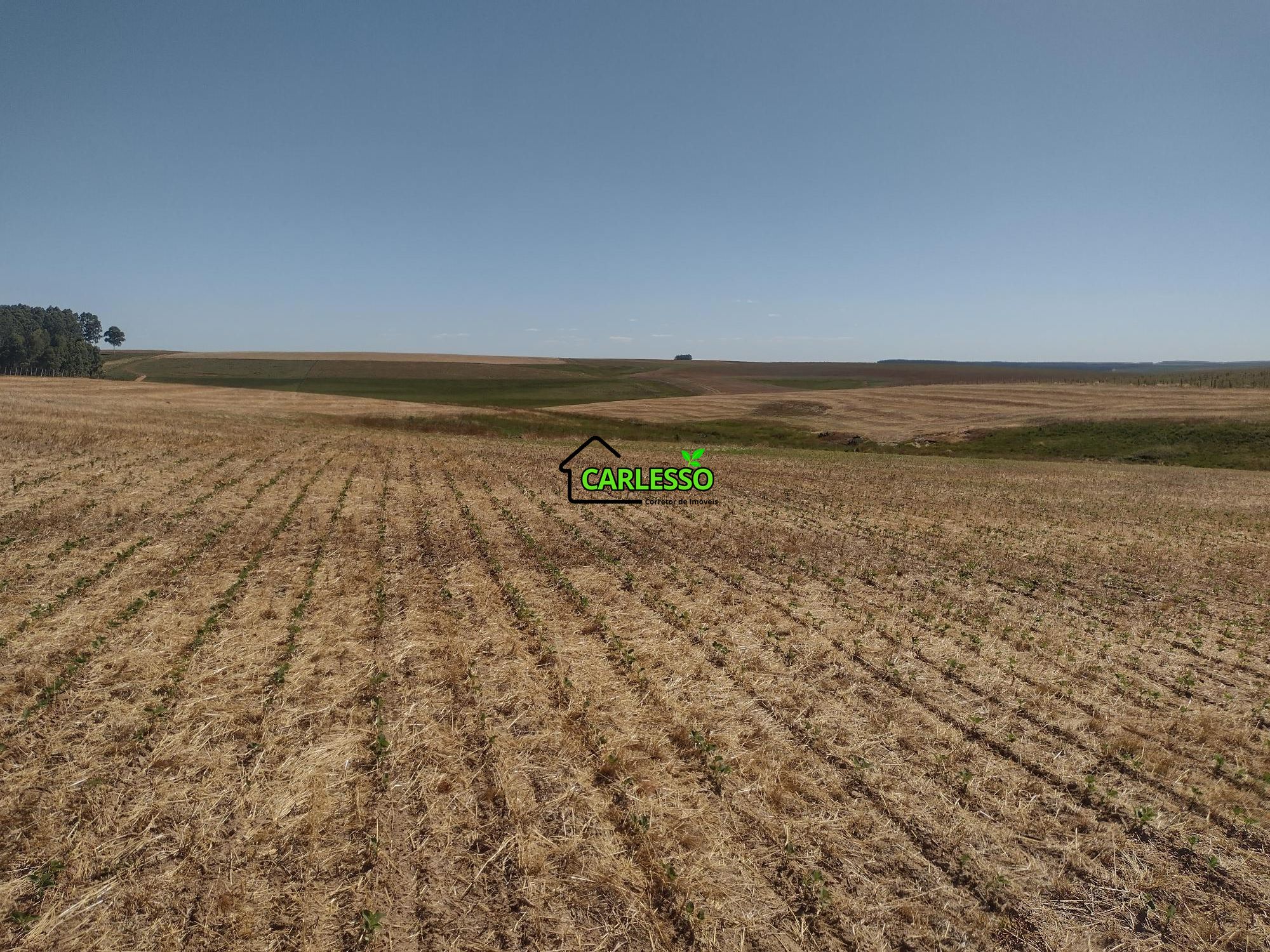 Sítio, 18 hectares - Foto 49