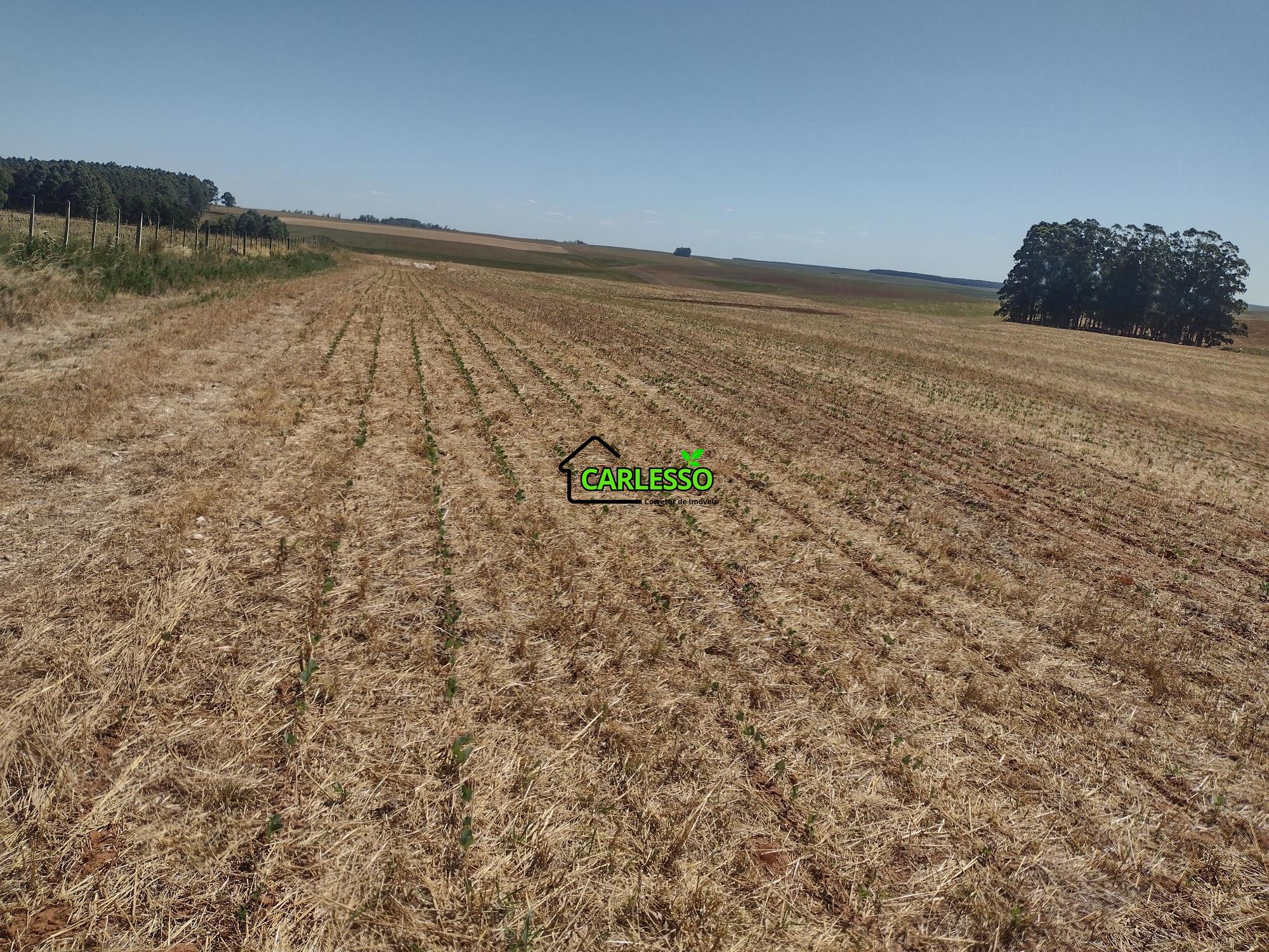 Sítio, 18 hectares - Foto 64