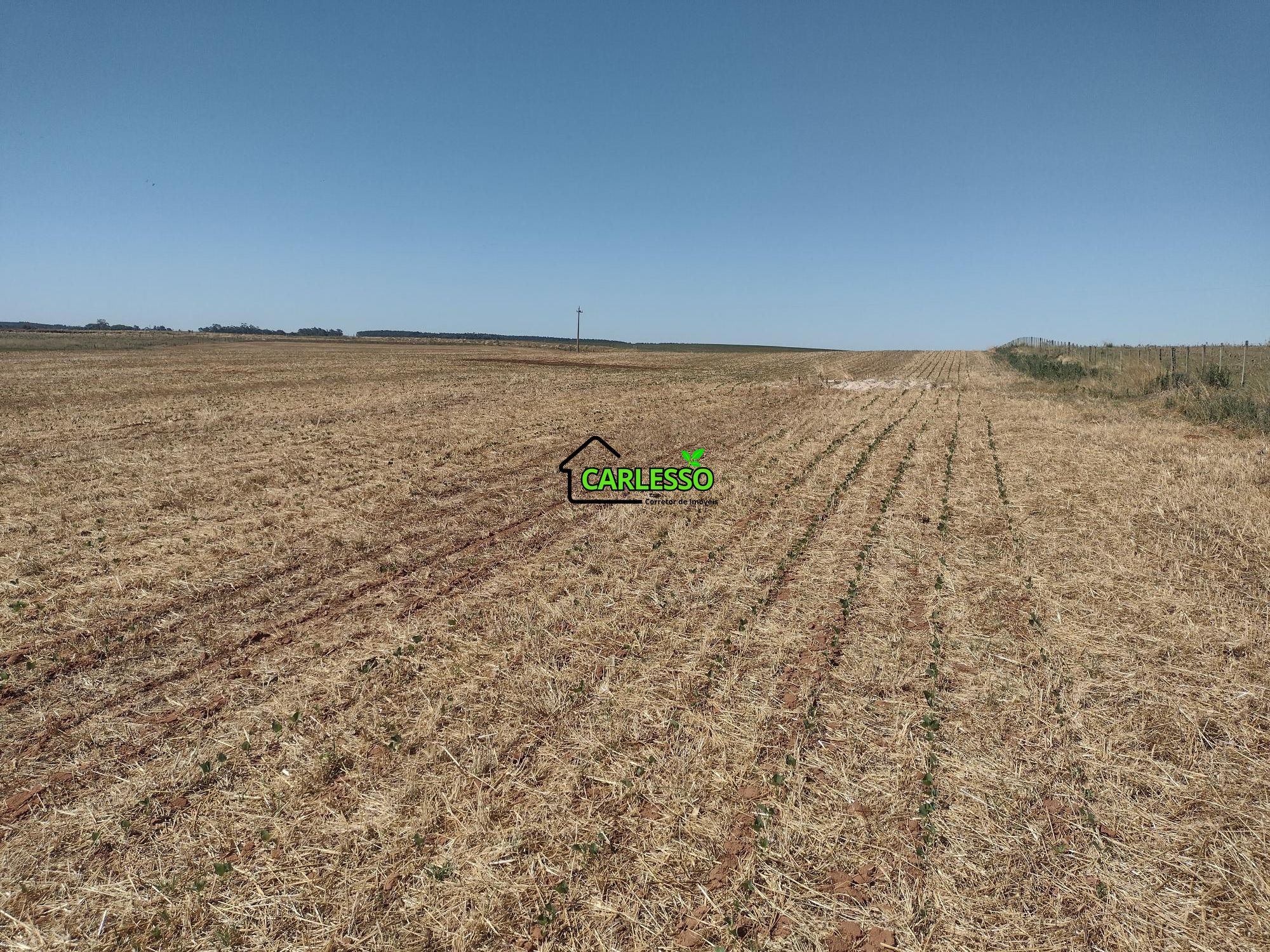 Sítio, 18 hectares - Foto 59