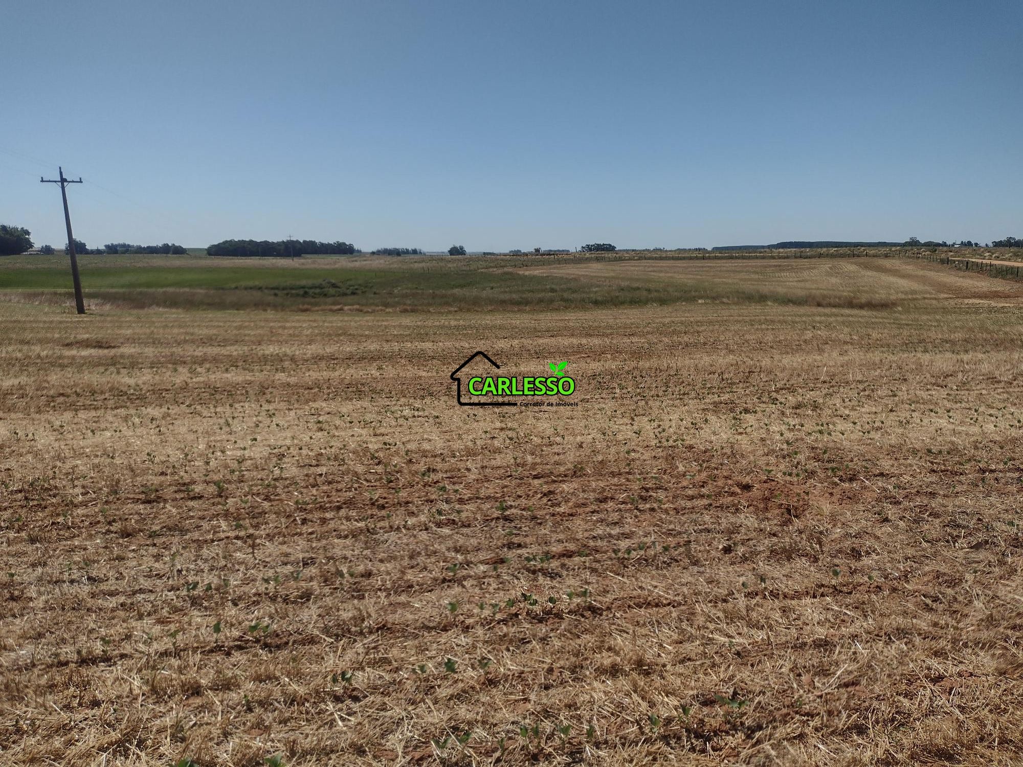 Sítio, 18 hectares - Foto 65