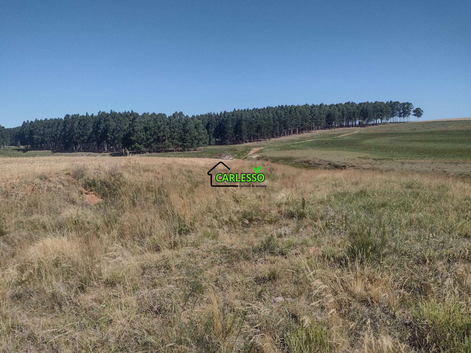 Sítio, 18 hectares - Foto 33