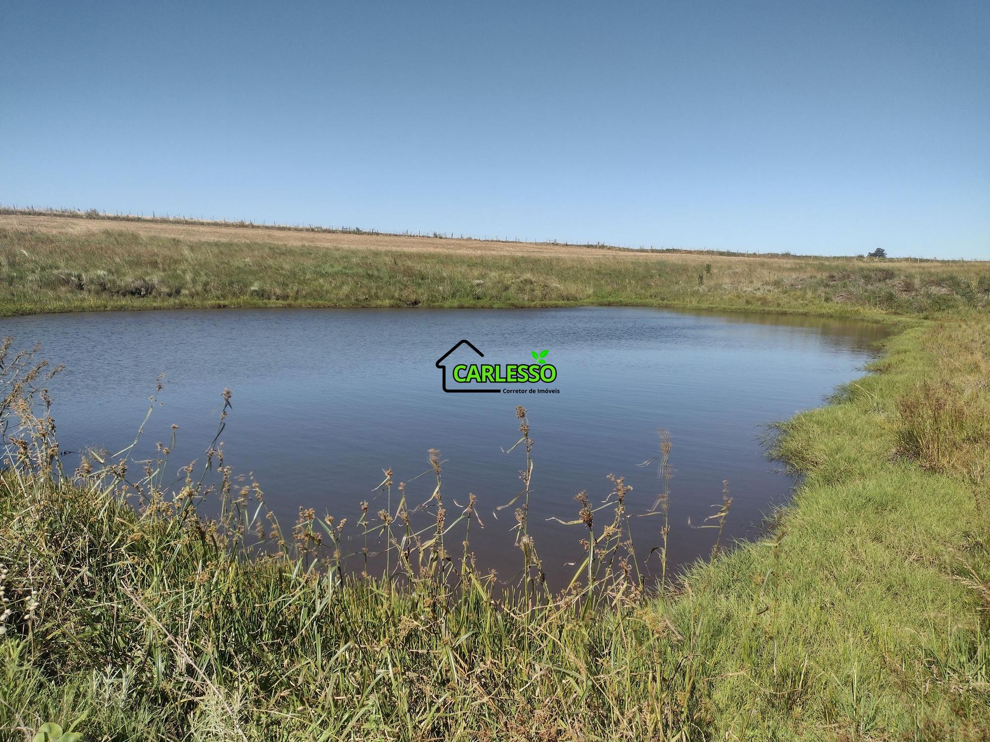 Sítio, 18 hectares - Foto 13