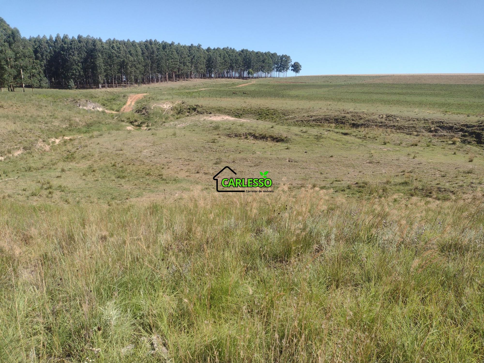 Sítio, 18 hectares - Foto 27