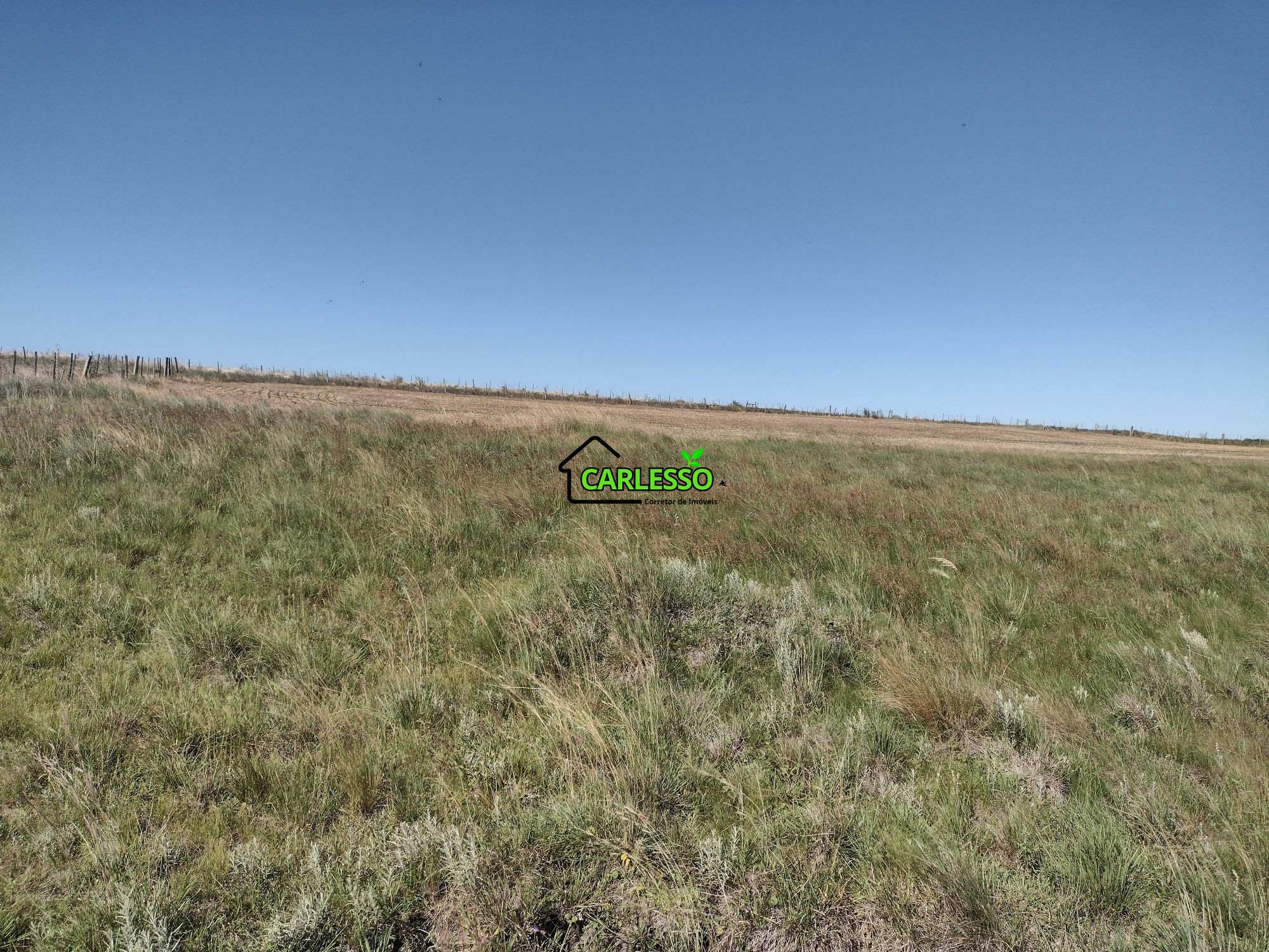 Sítio, 18 hectares - Foto 11