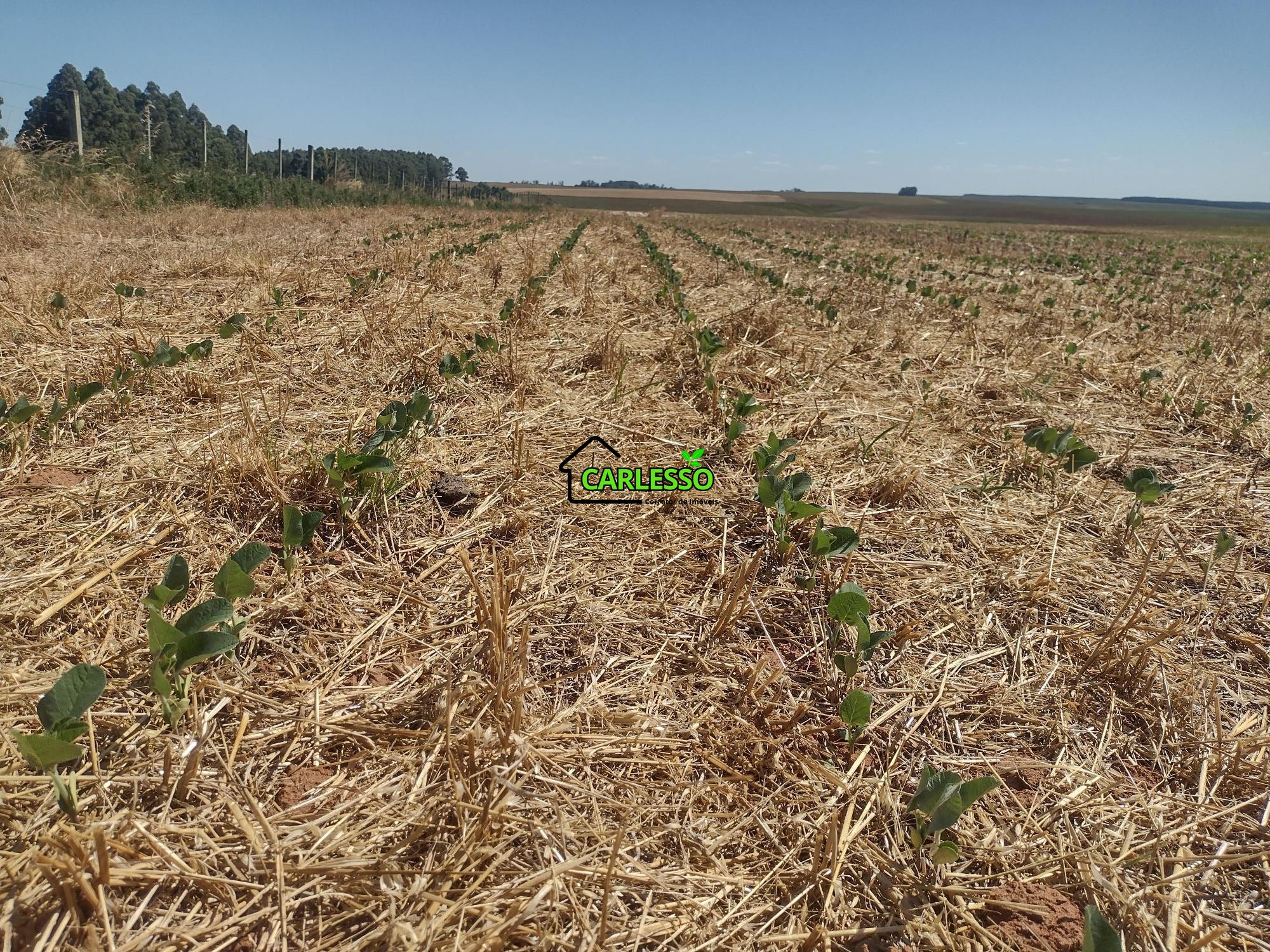 Sítio, 18 hectares - Foto 63