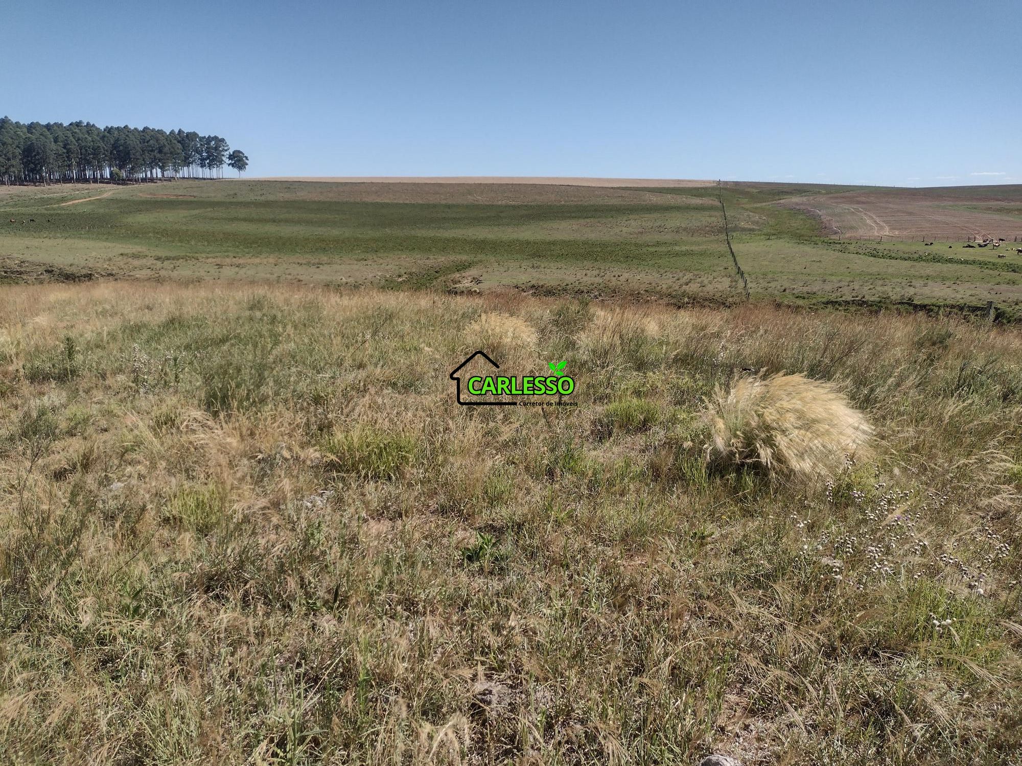 Sítio, 18 hectares - Foto 34