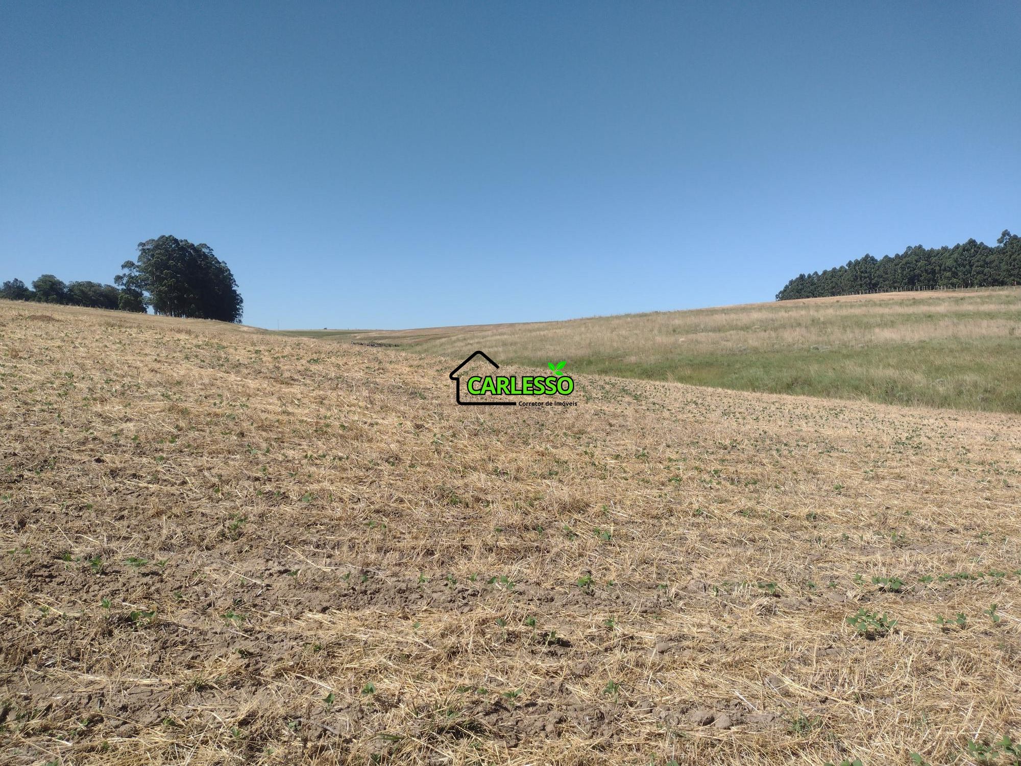 Sítio, 18 hectares - Foto 25