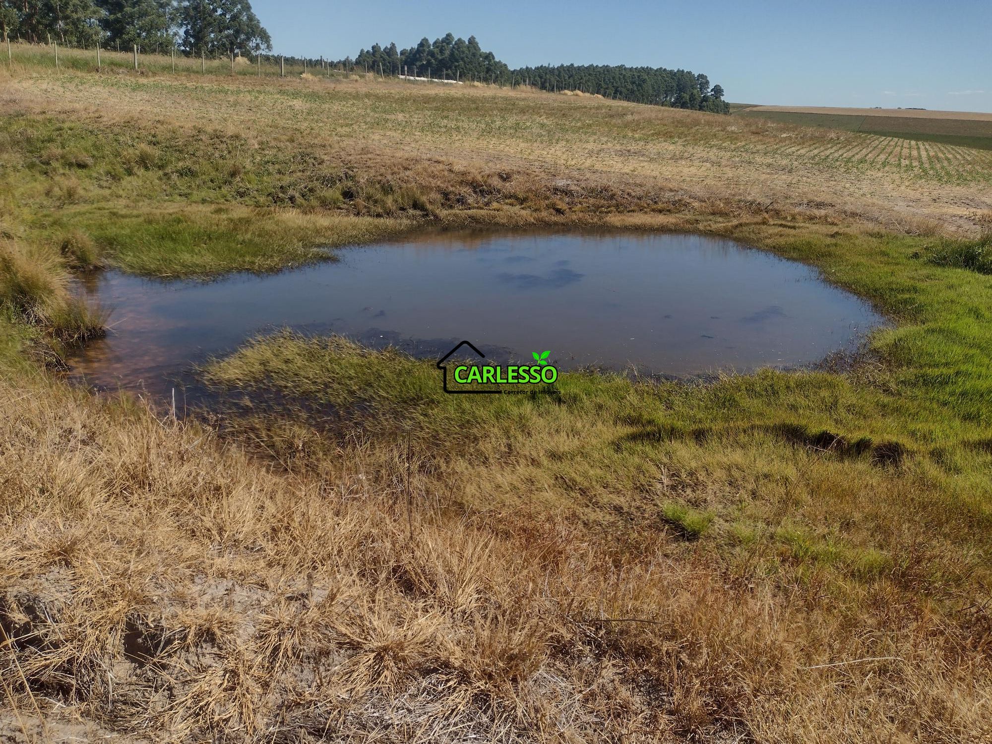 Sítio, 18 hectares - Foto 54