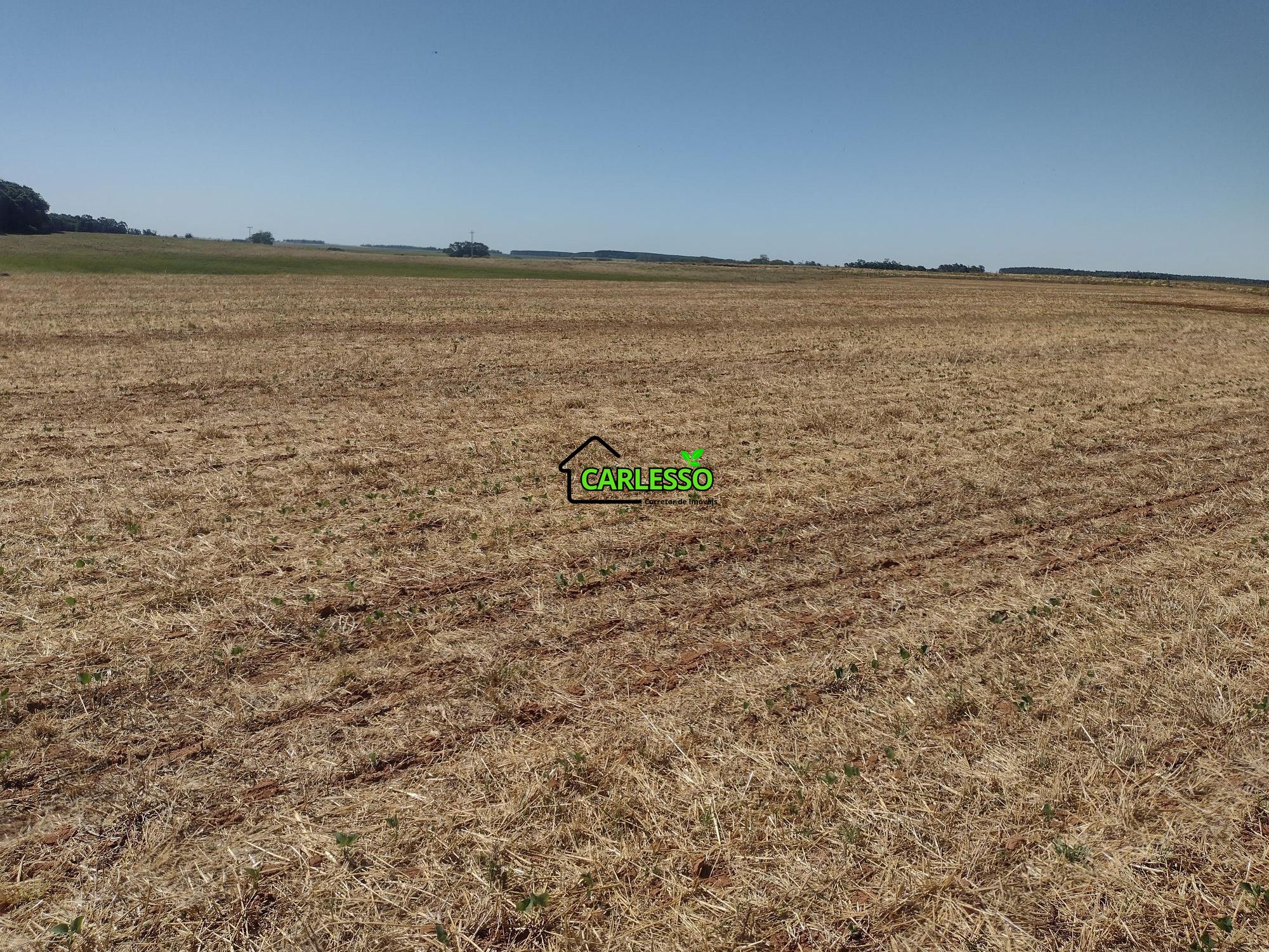 Sítio, 18 hectares - Foto 60