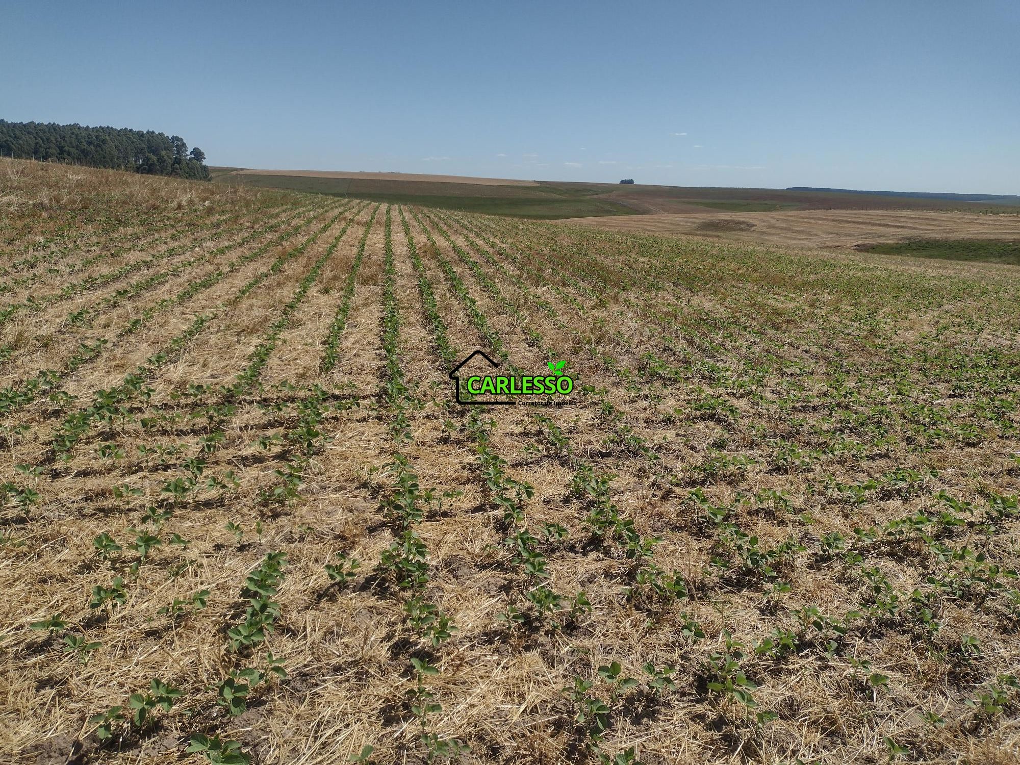 Sítio, 18 hectares - Foto 52