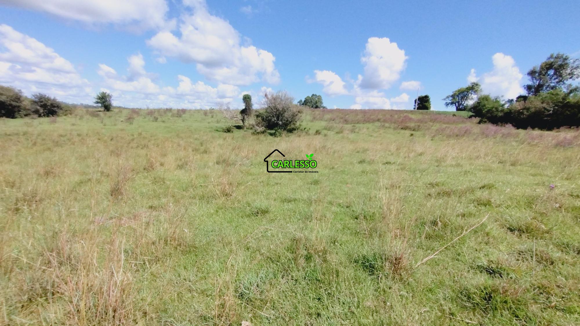 Área rural