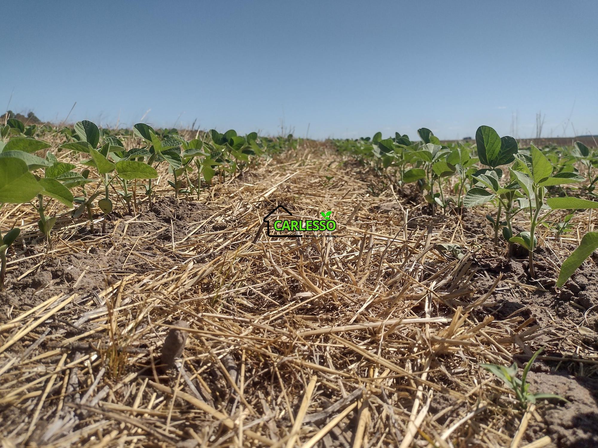 Sítio, 18 hectares - Foto 50