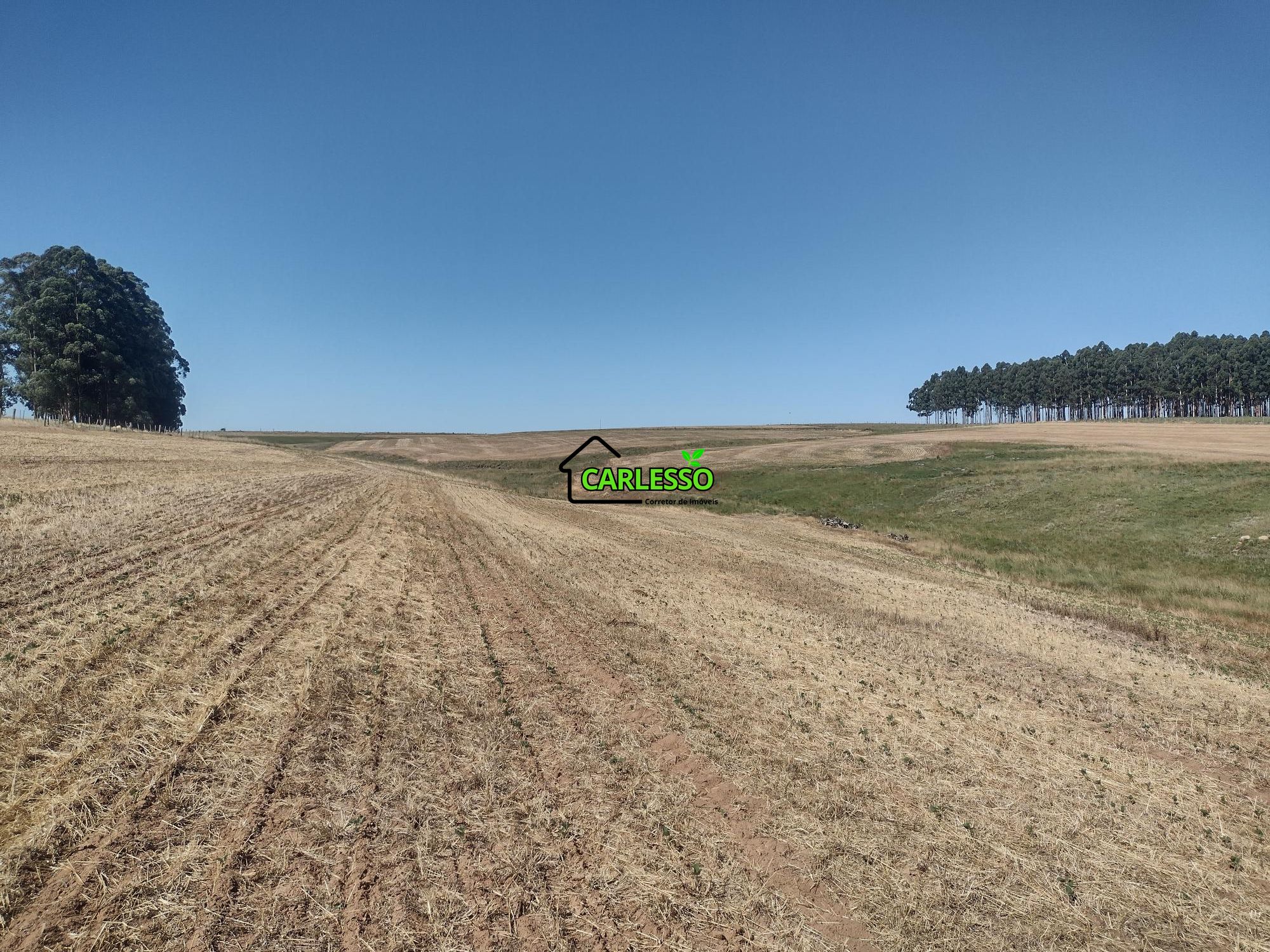 Sítio, 18 hectares - Foto 39