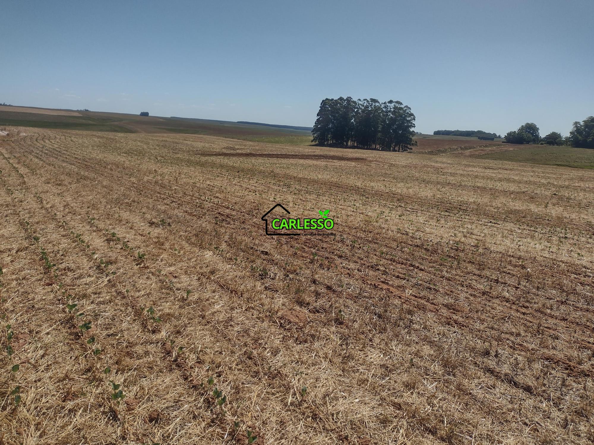 Sítio, 18 hectares - Foto 62