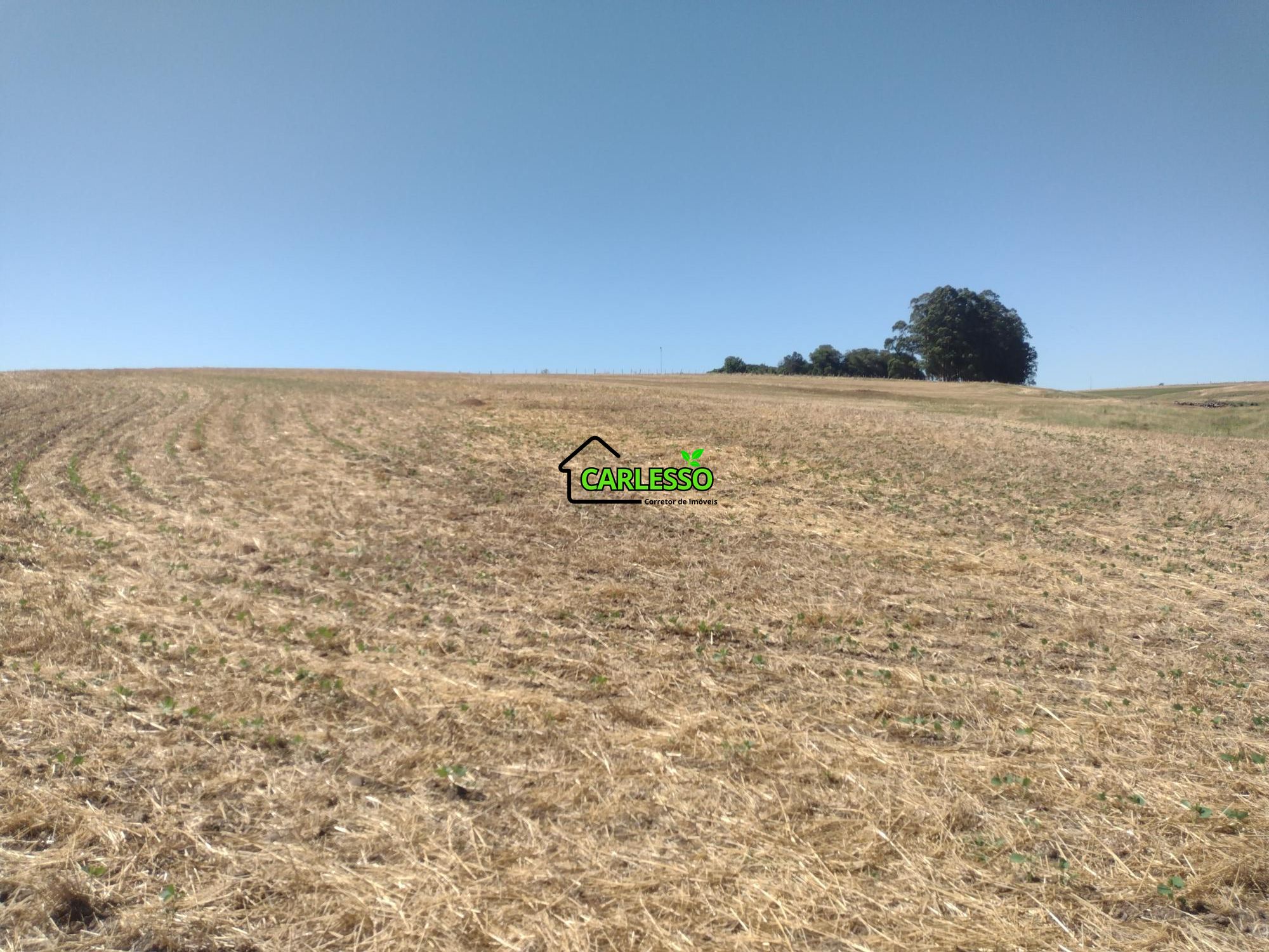 Sítio, 18 hectares - Foto 24