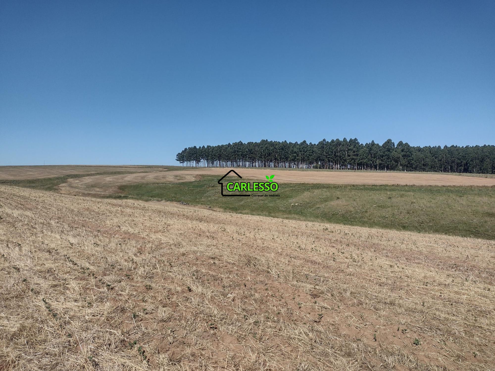 Sítio, 18 hectares - Foto 37