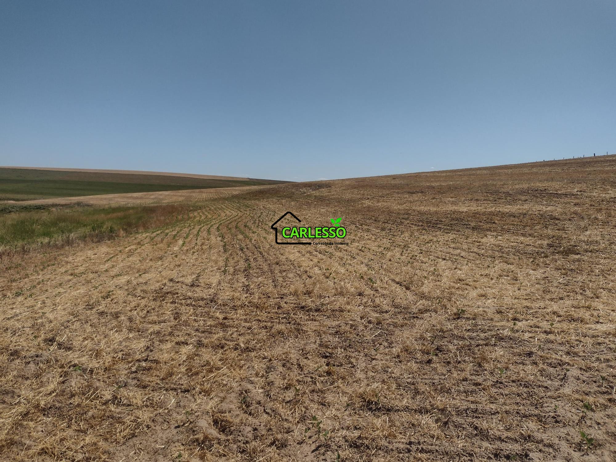 Sítio, 18 hectares - Foto 41