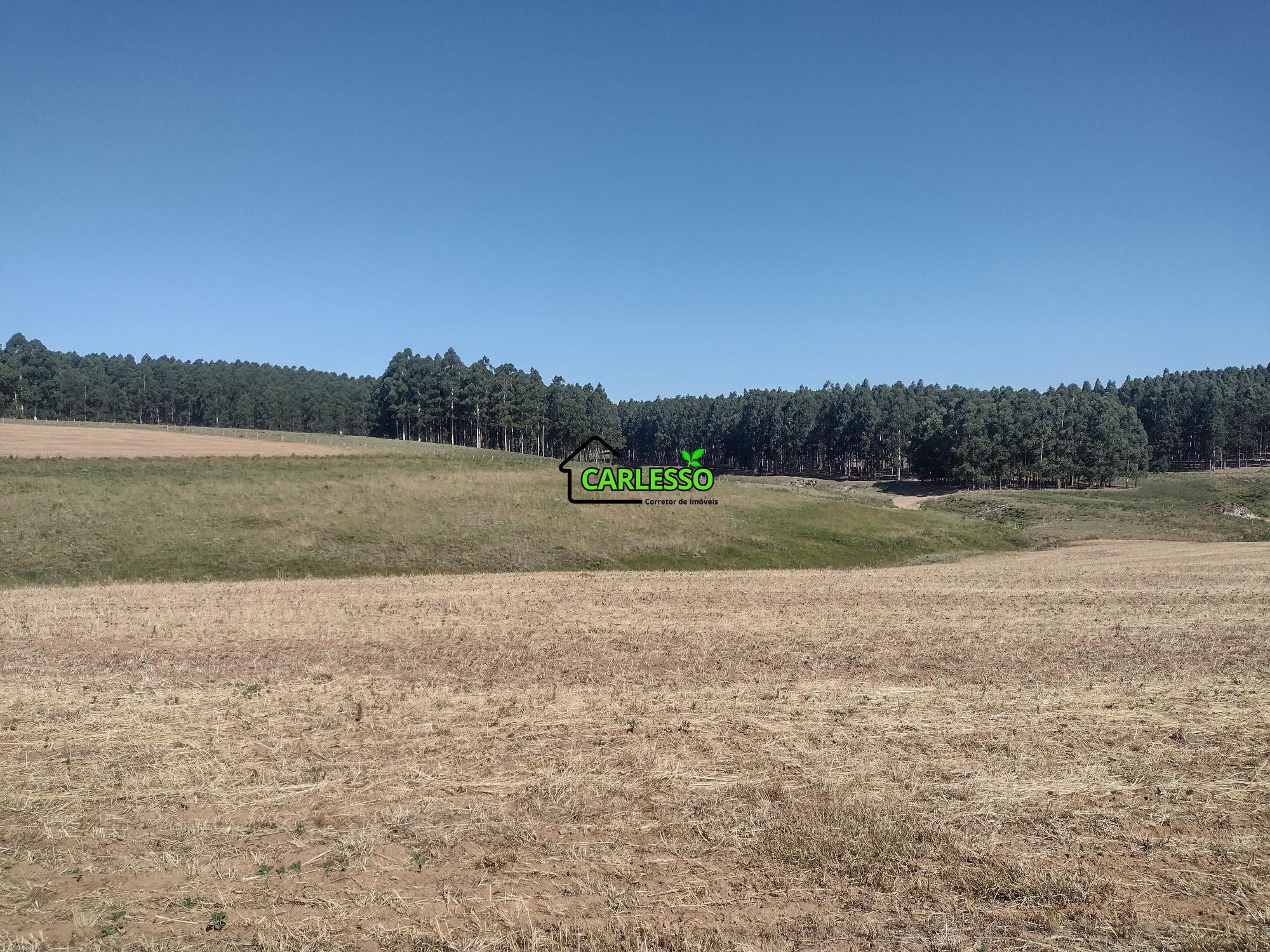 Sítio, 18 hectares - Foto 36