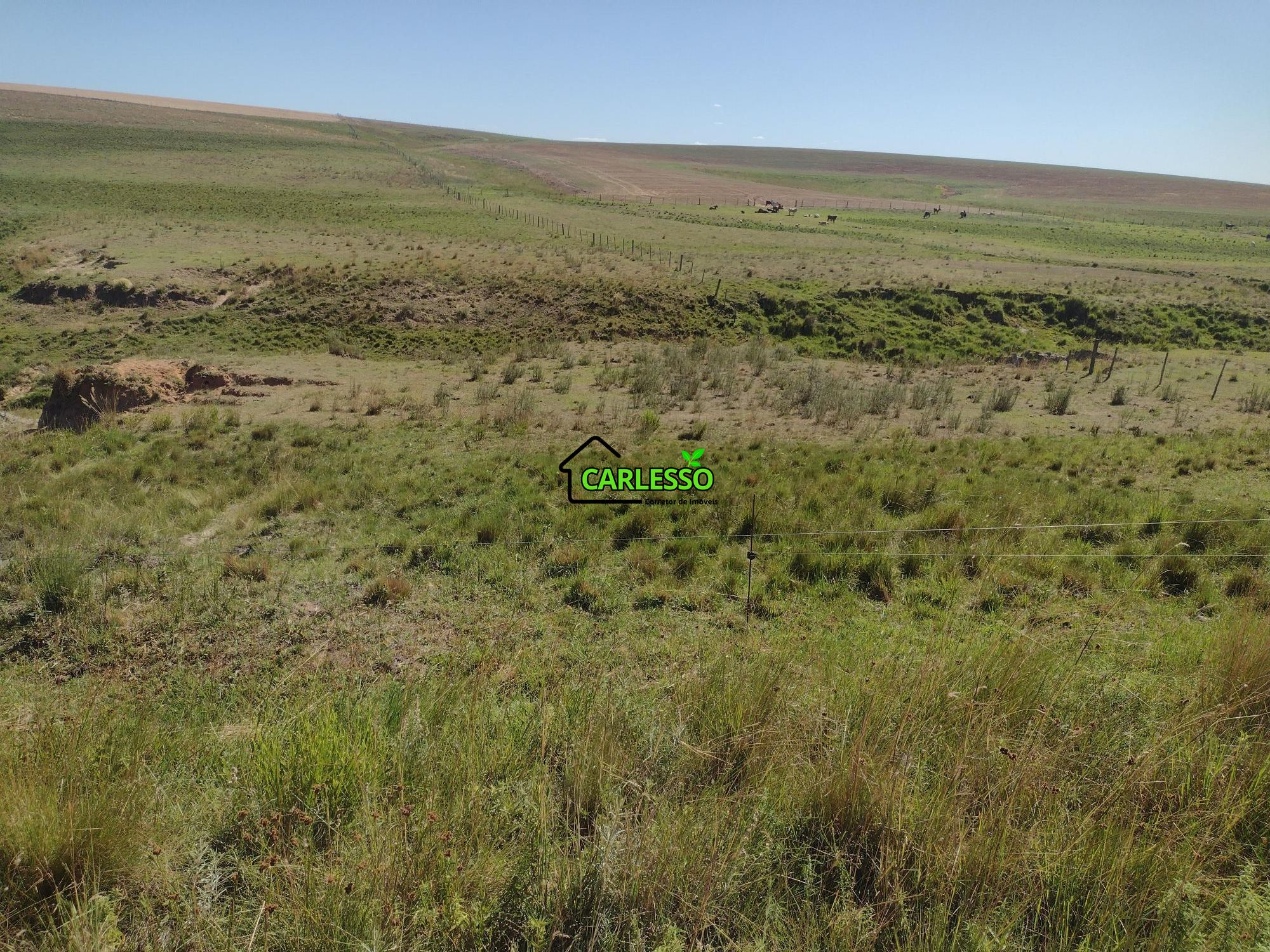 Sítio, 18 hectares - Foto 32