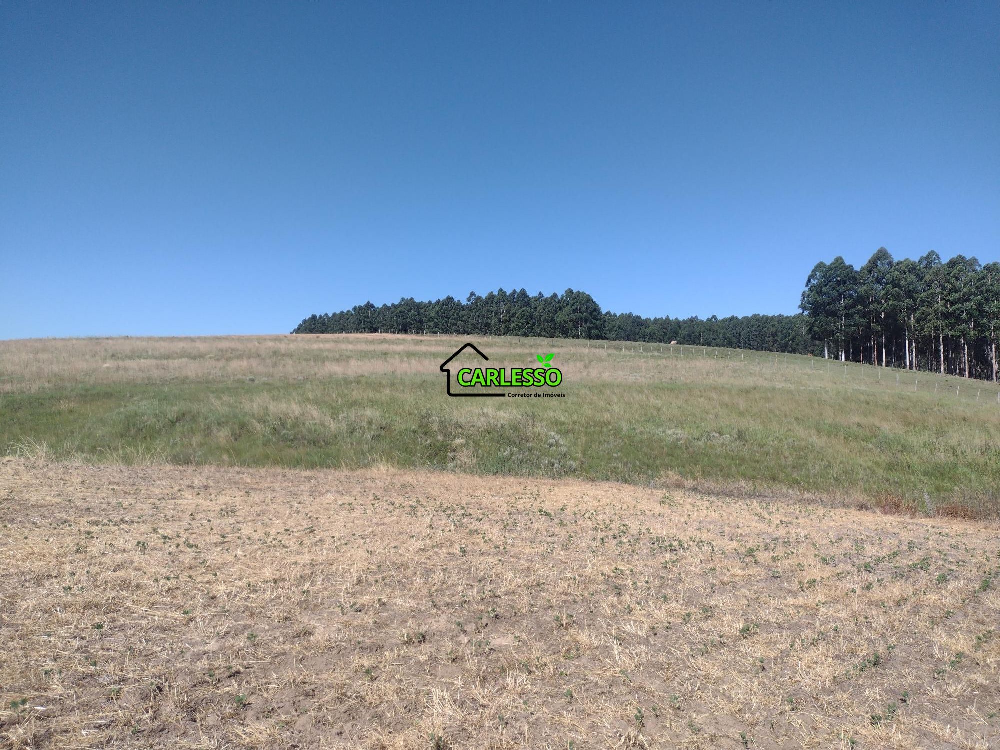 Sítio, 18 hectares - Foto 22