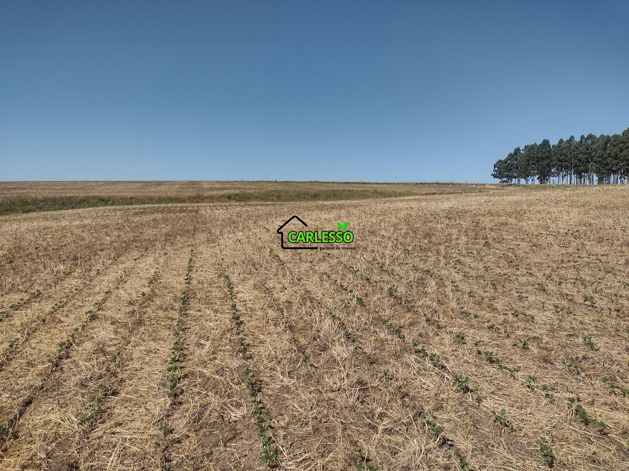 Sítio, 18 hectares - Foto 48