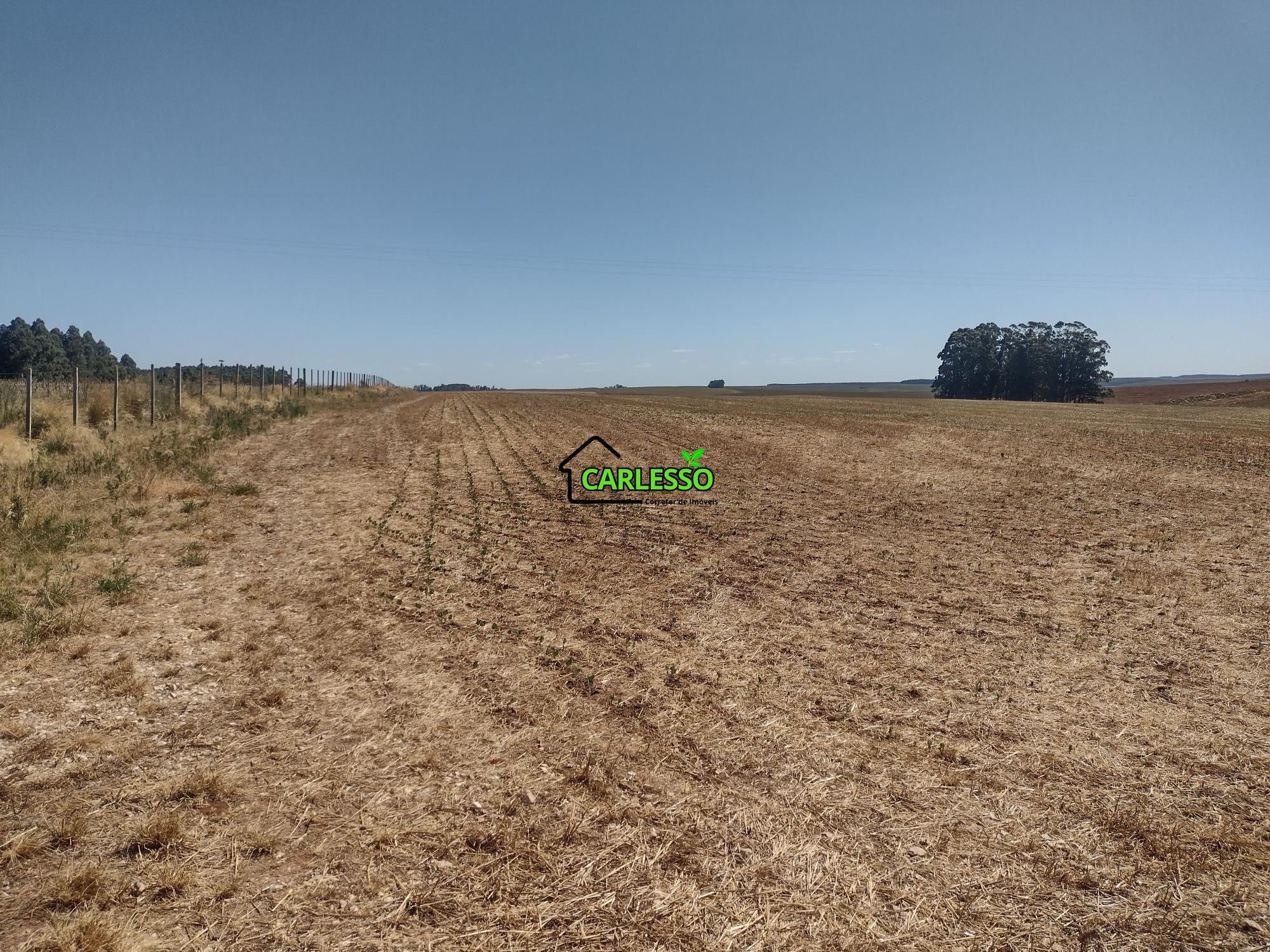 Sítio, 18 hectares - Foto 68