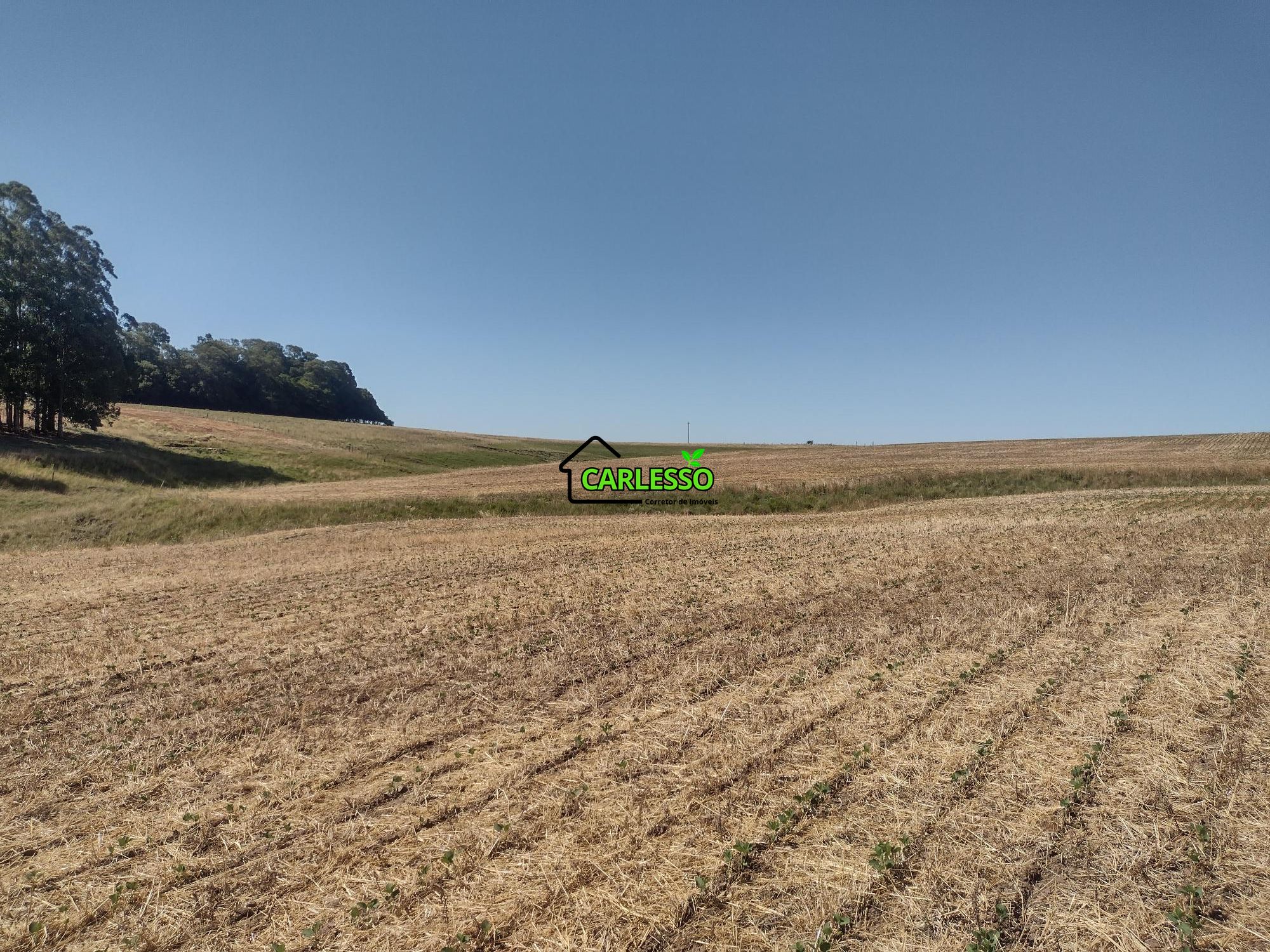 Sítio, 18 hectares - Foto 47