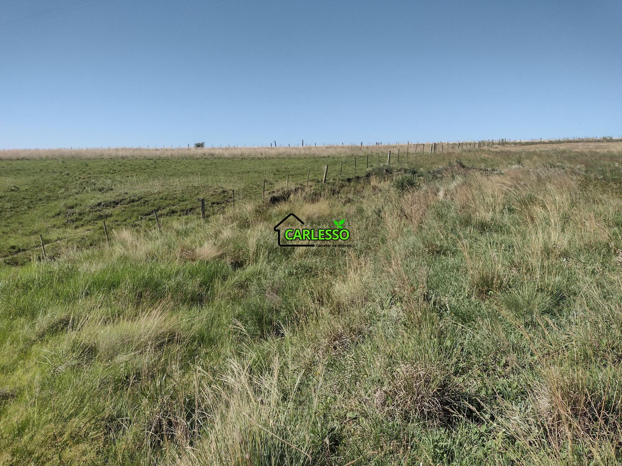 Sítio, 18 hectares - Foto 12