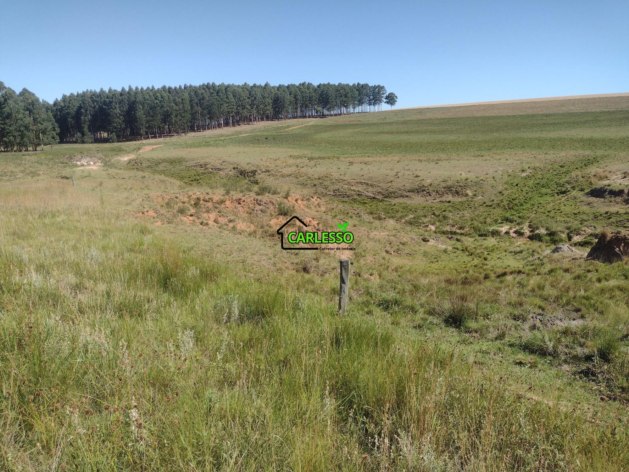 Sítio, 18 hectares - Foto 31