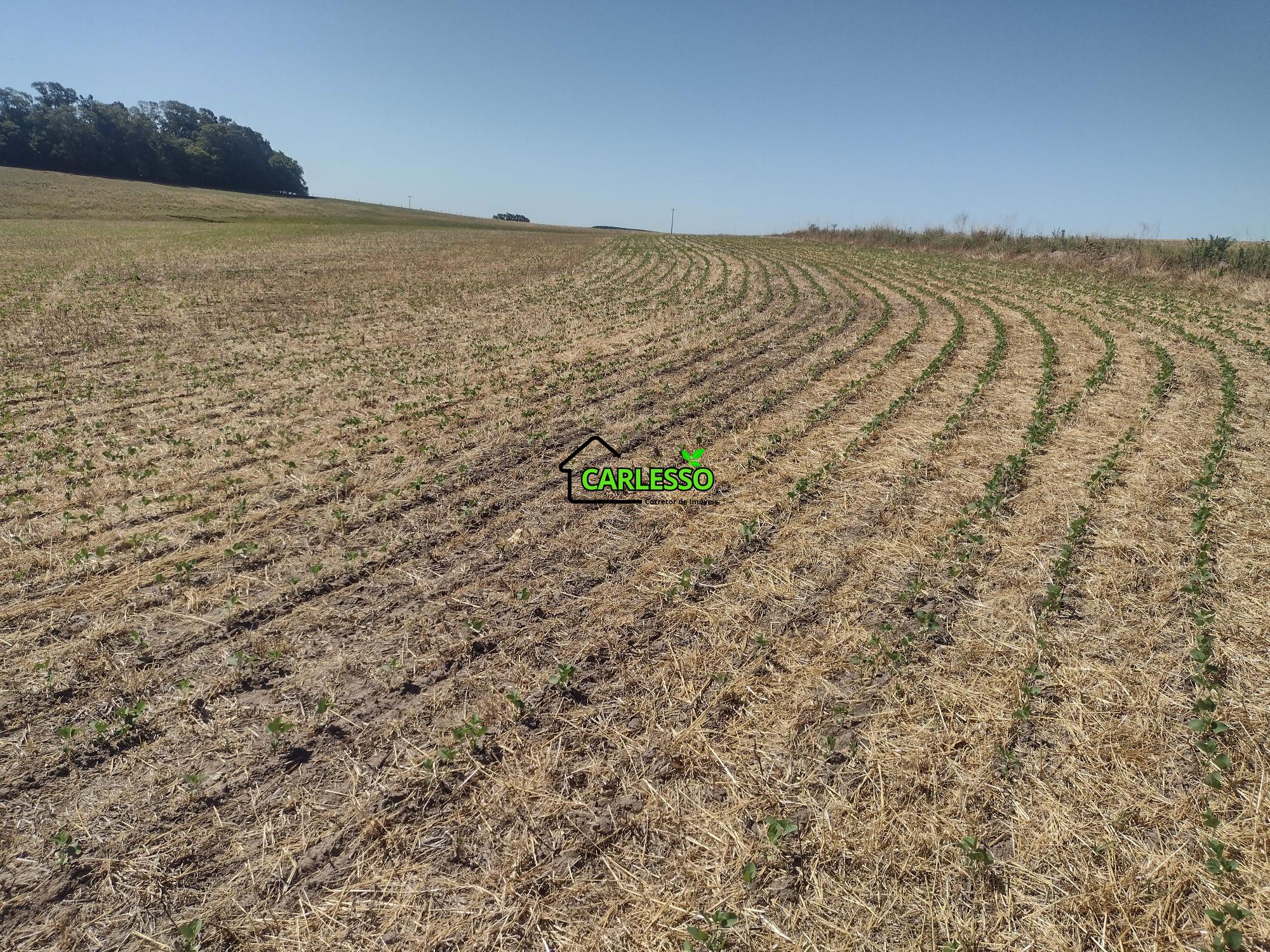 Sítio, 18 hectares - Foto 56