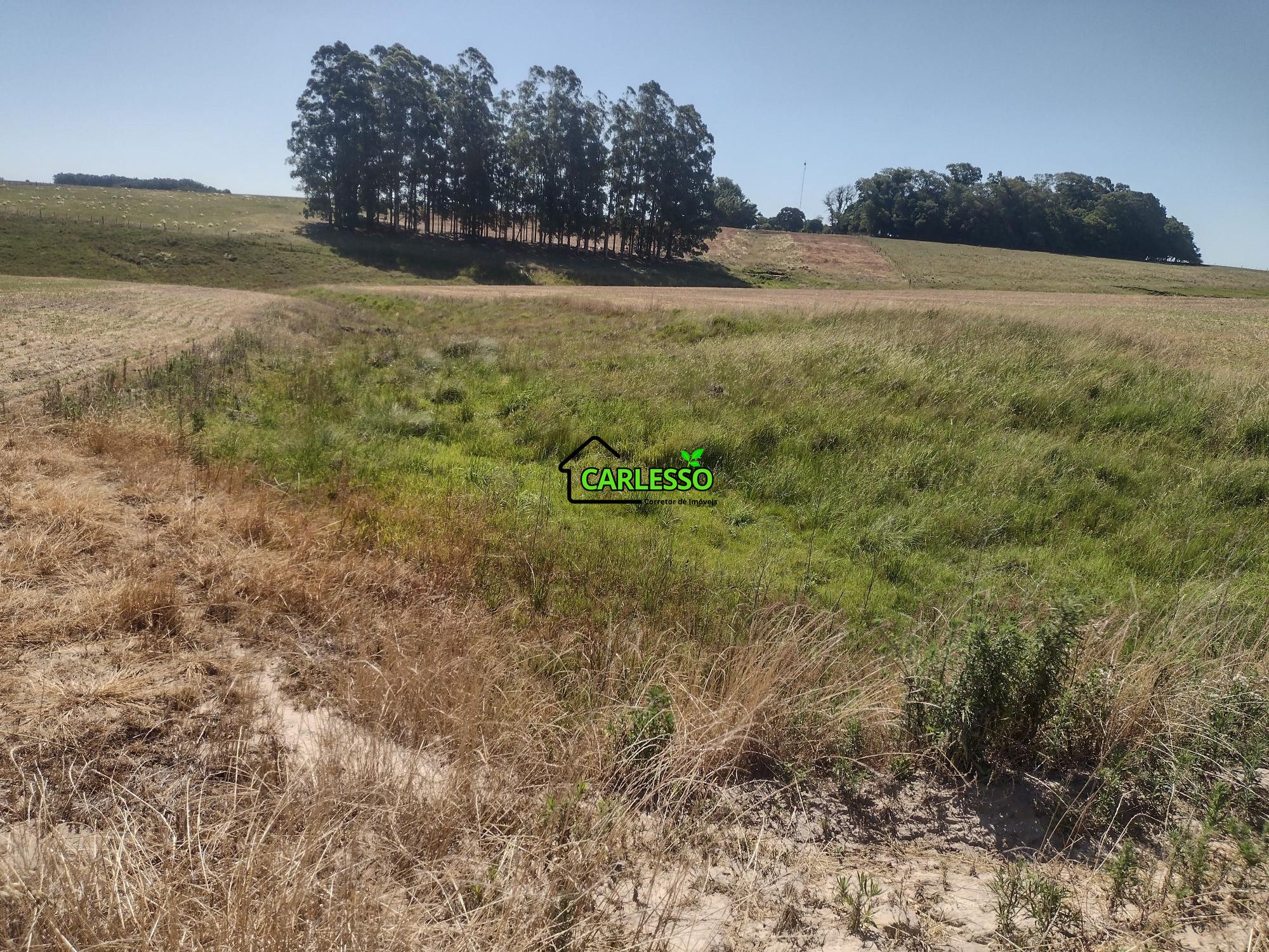 Sítio, 18 hectares - Foto 53