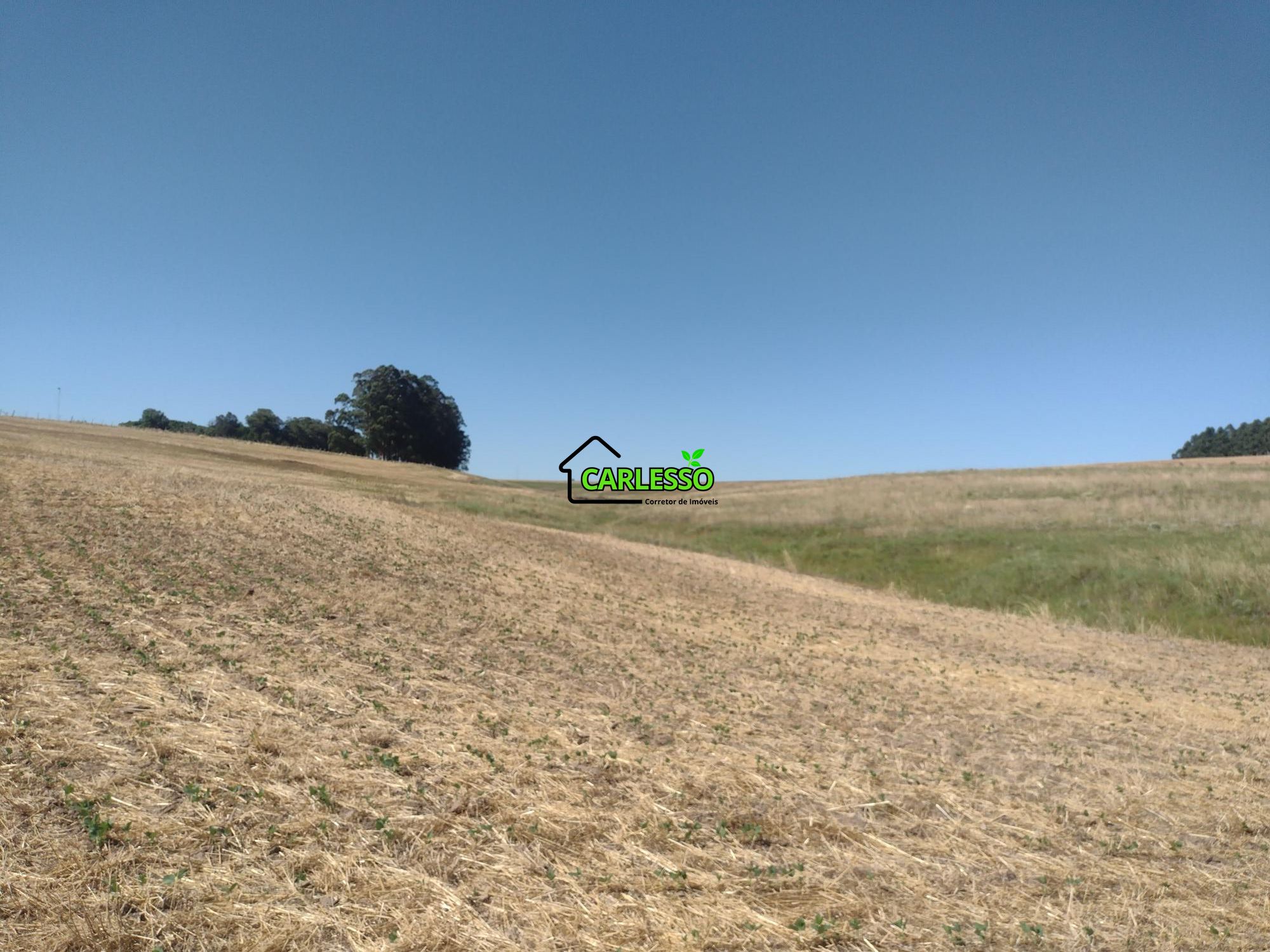 Sítio, 18 hectares - Foto 23