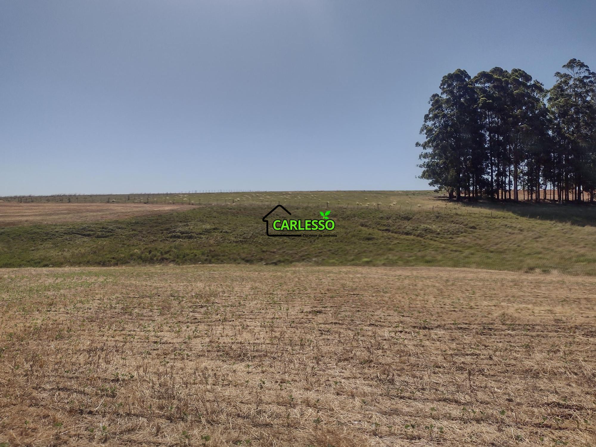 Sítio, 18 hectares - Foto 46