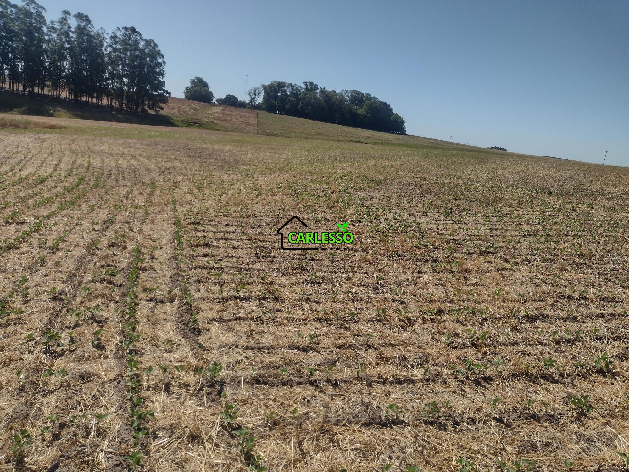 Sítio, 18 hectares - Foto 55