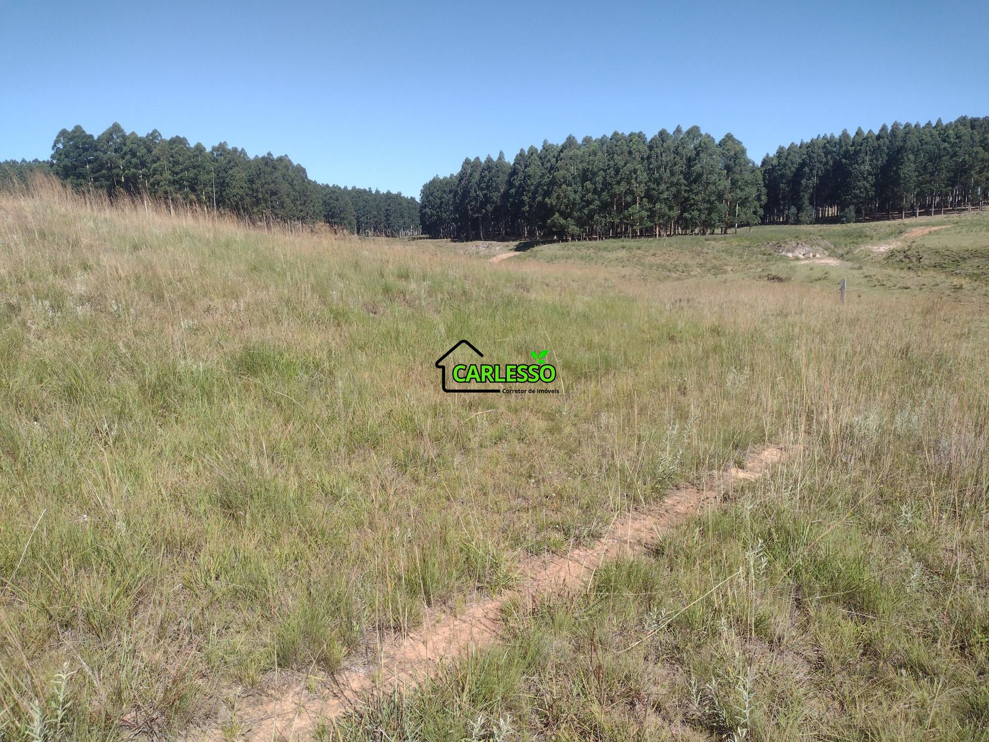 Sítio, 18 hectares - Foto 30