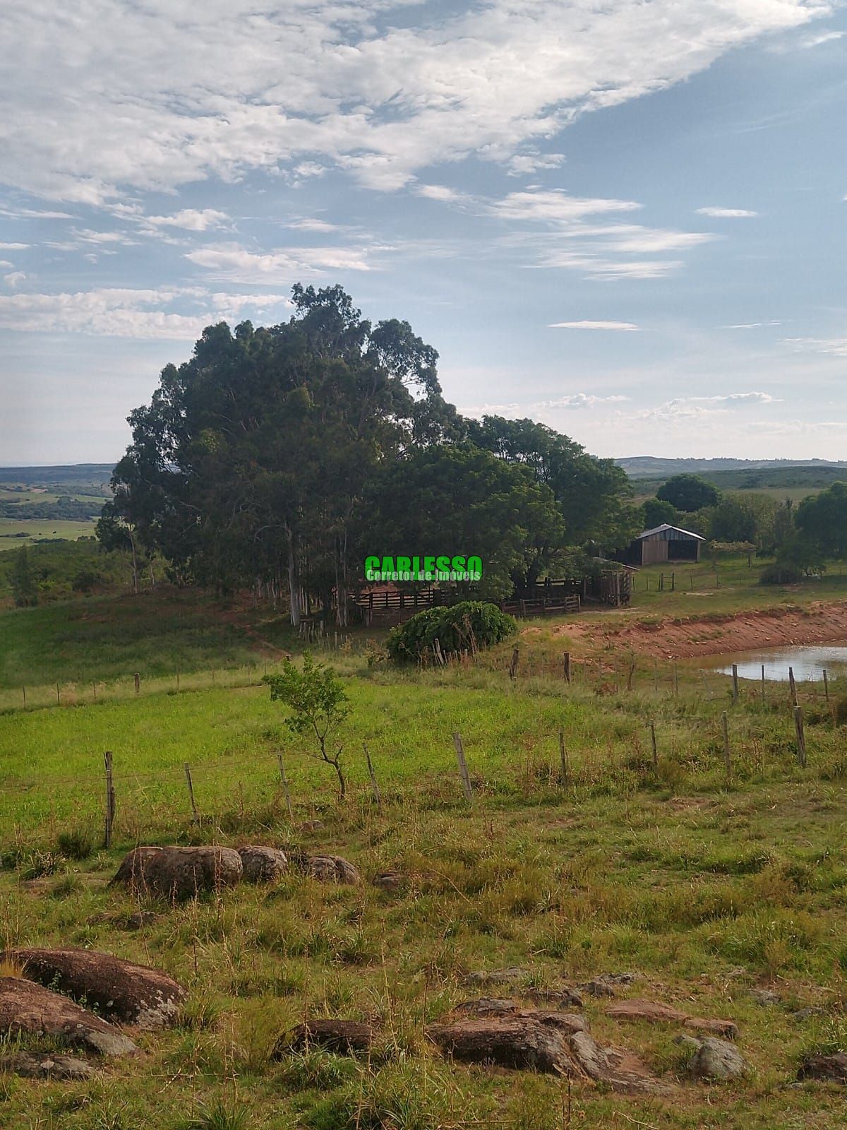 Fazenda-Sítio-Chácara, 39 hectares - Foto 4