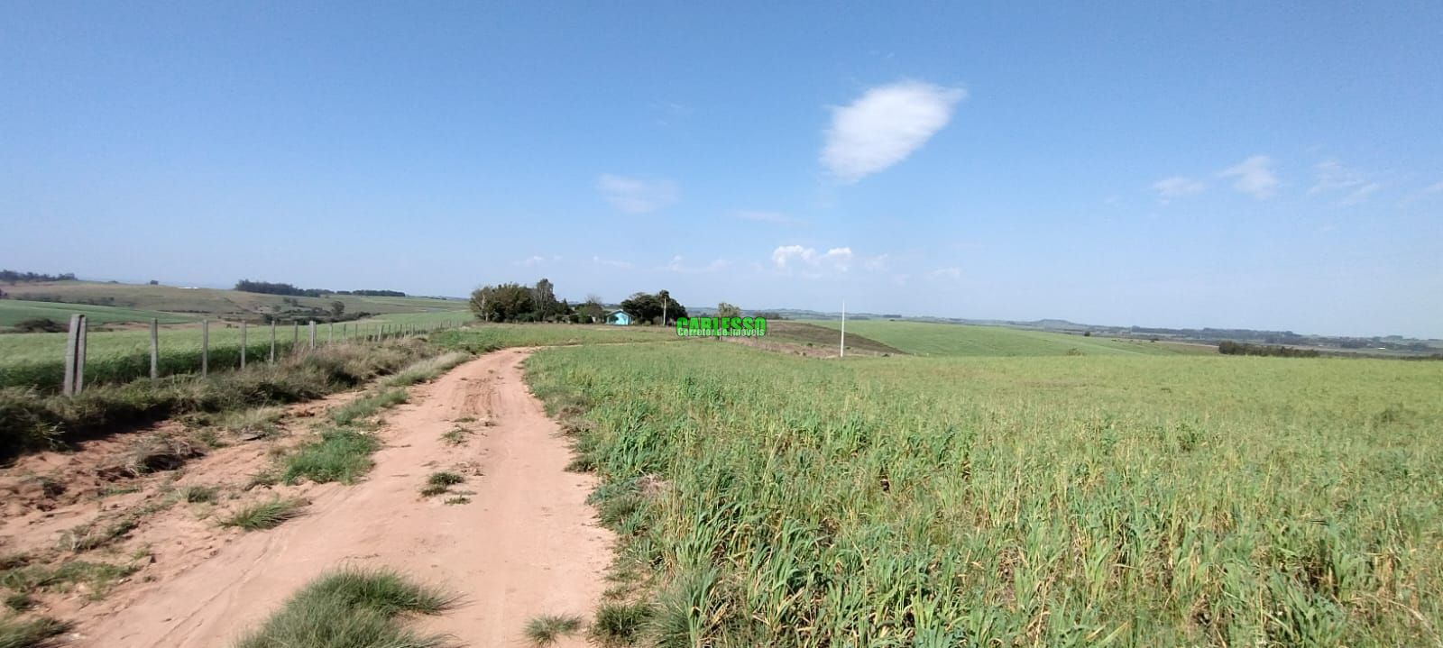 Fazenda-Sítio-Chácara, 30 hectares - Foto 1