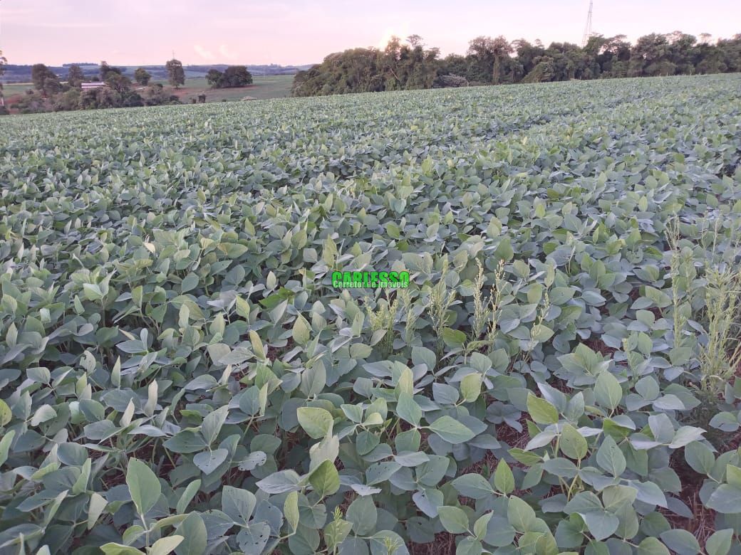 Terreno comercial  venda  no Zona Rural - Santo ngelo, RS. Imveis