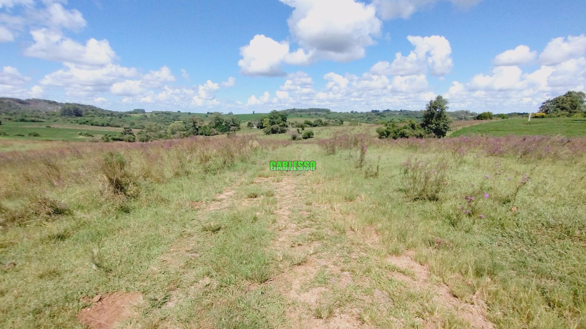 Terreno comercial  venda  no Zona Rural - Dilermando de Aguiar, RS. Imveis