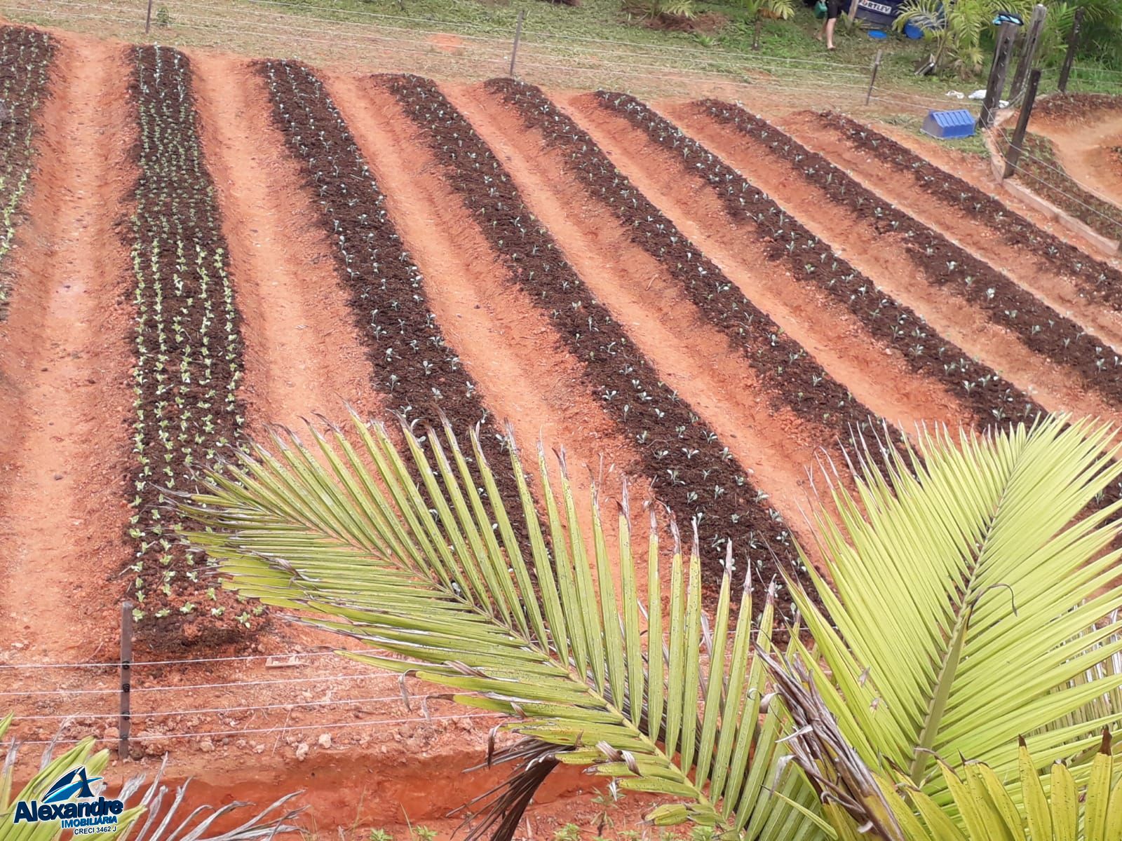 Fazenda/stio/chcara/haras  venda  no Trs Rios do Norte - Jaragu do Sul, SC. Imveis