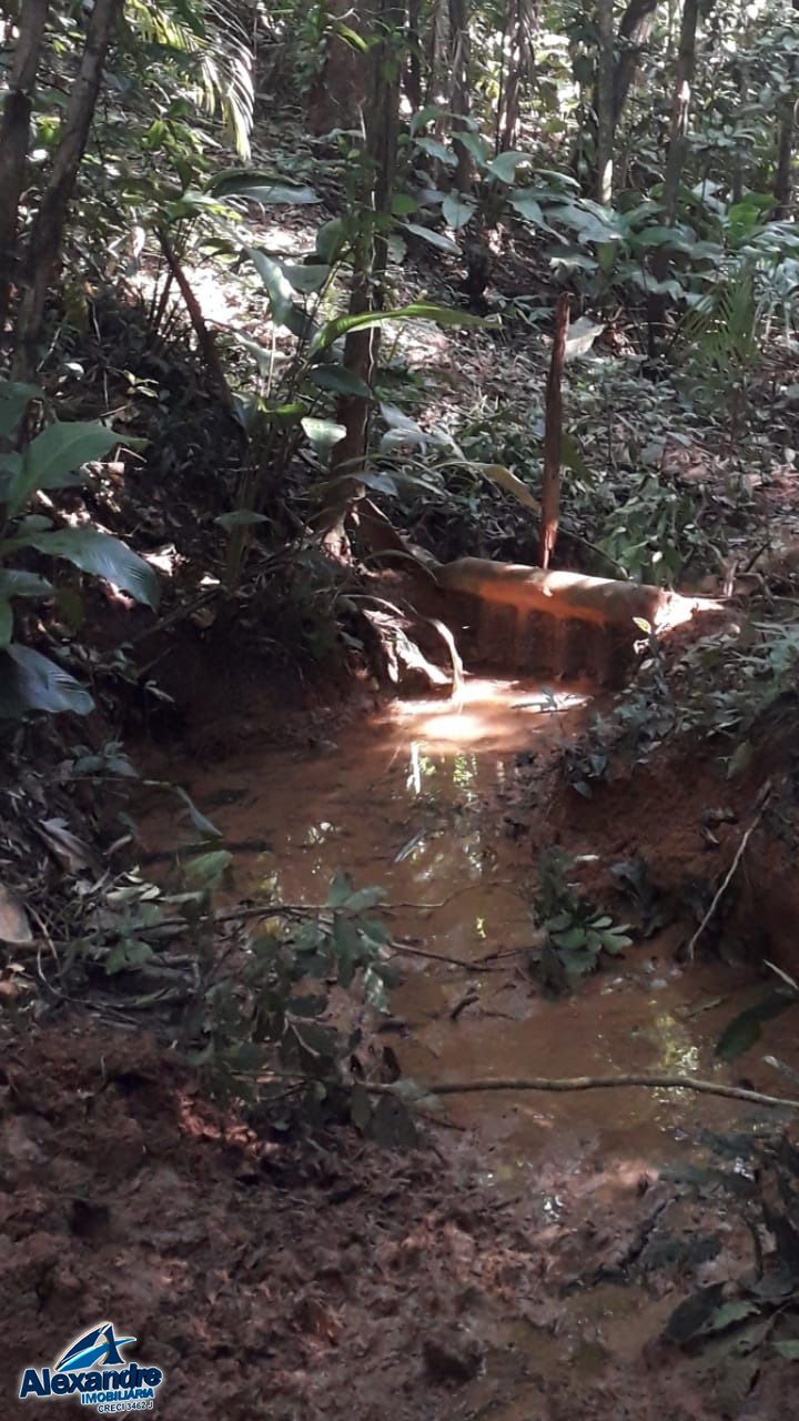Sítio à venda com 3 quartos, 15000m² - Foto 26