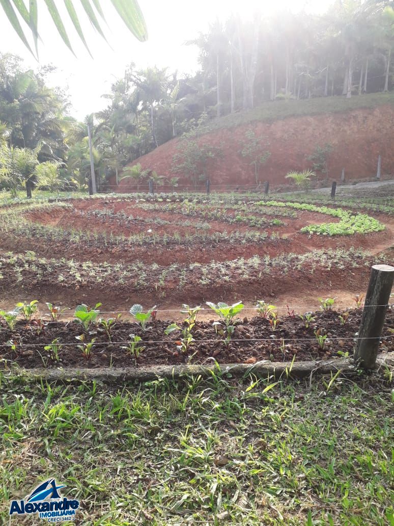 Sítio à venda com 3 quartos, 15000m² - Foto 23