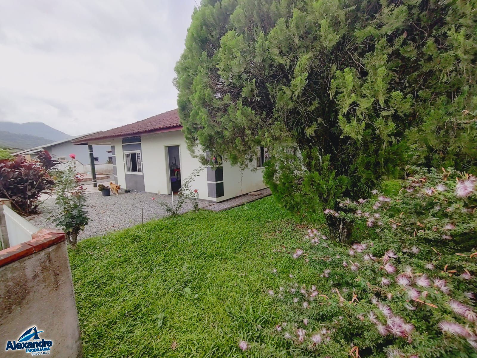 Loja-Salão, 160 m² - Foto 5