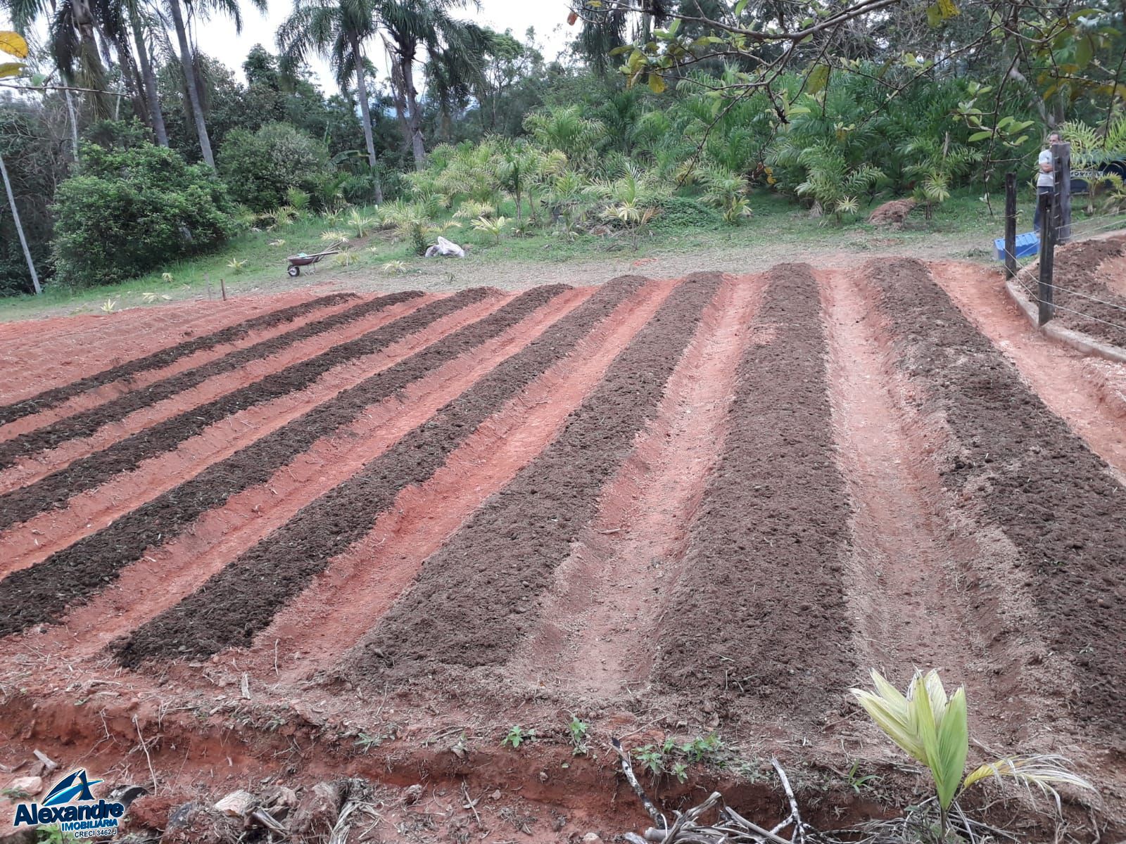 Sítio à venda com 3 quartos, 15000m² - Foto 2