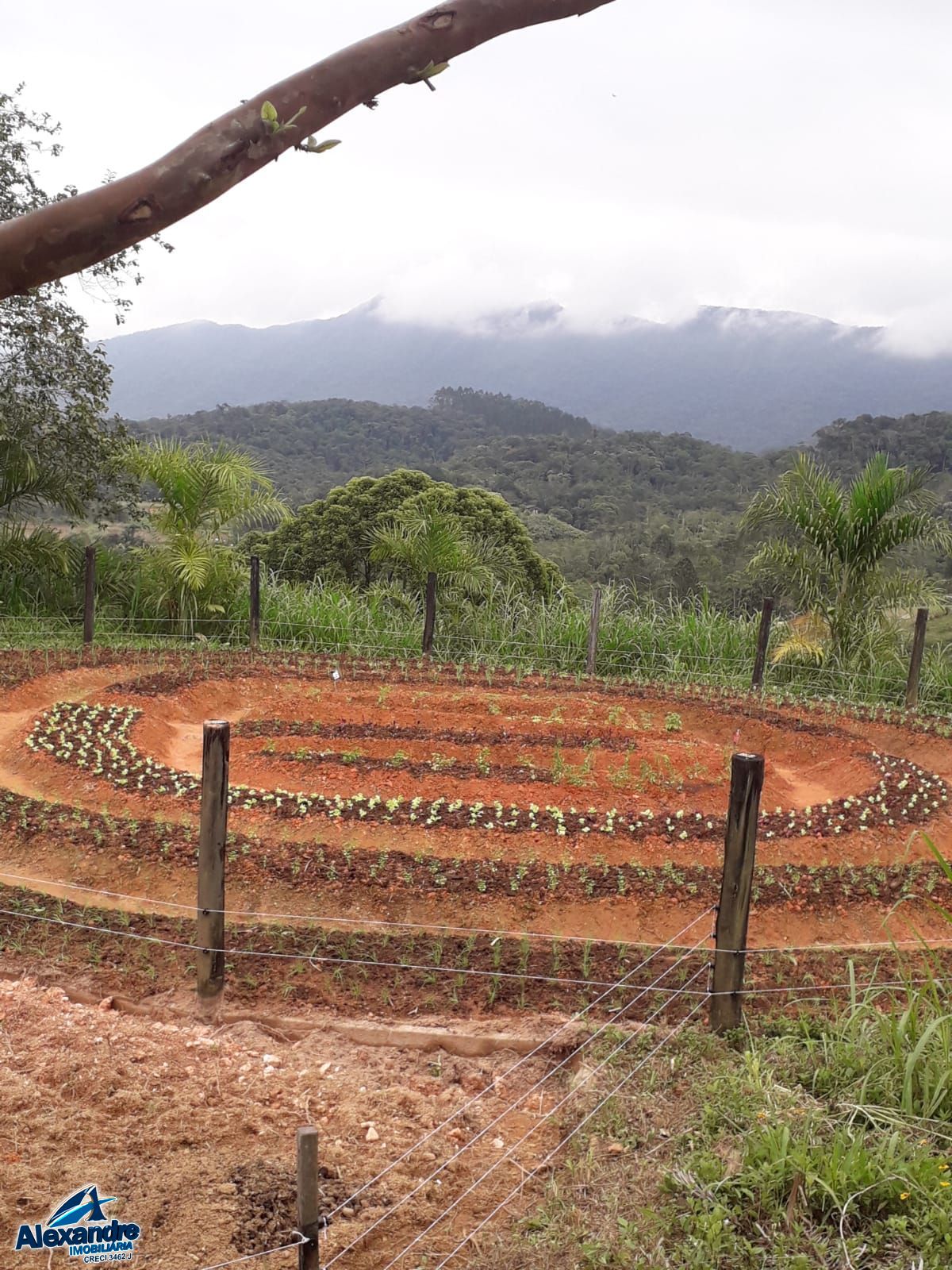 Sítio à venda com 3 quartos, 15000m² - Foto 27