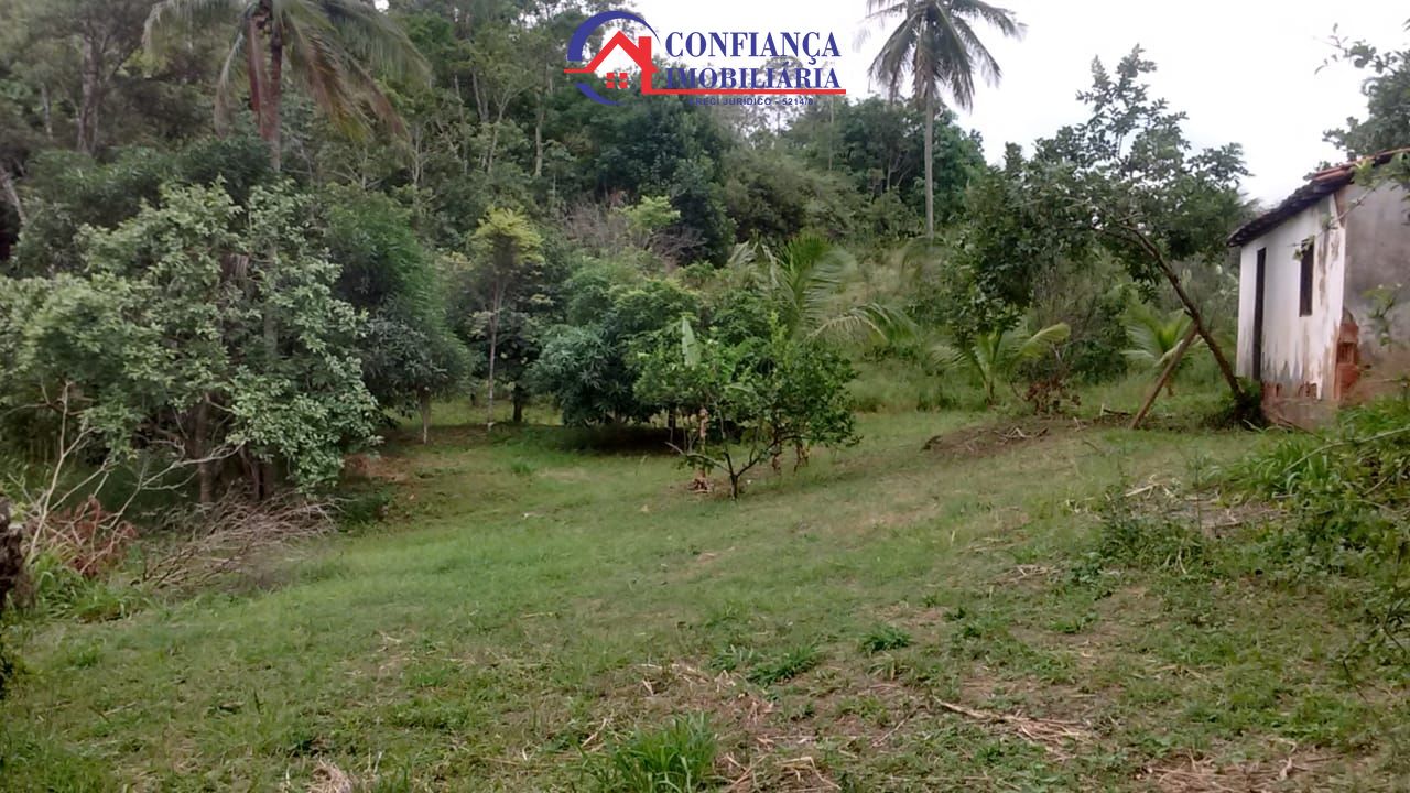 Sítio à venda com 3 quartos, 14500m² - Foto 10