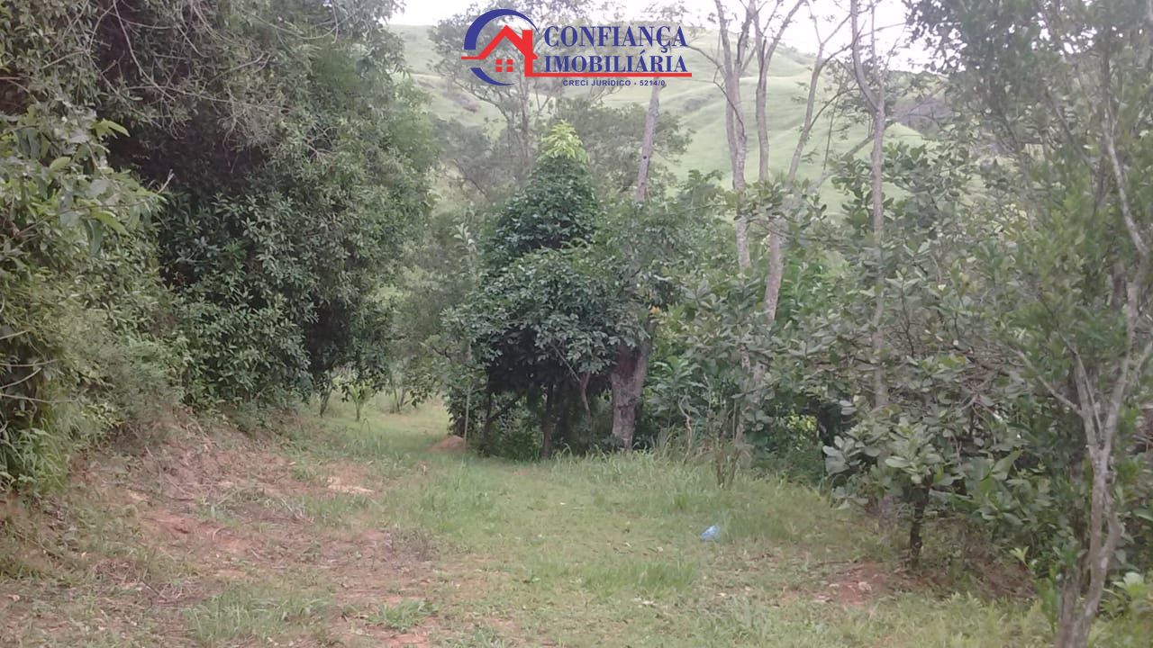 Sítio à venda com 3 quartos, 14500m² - Foto 11