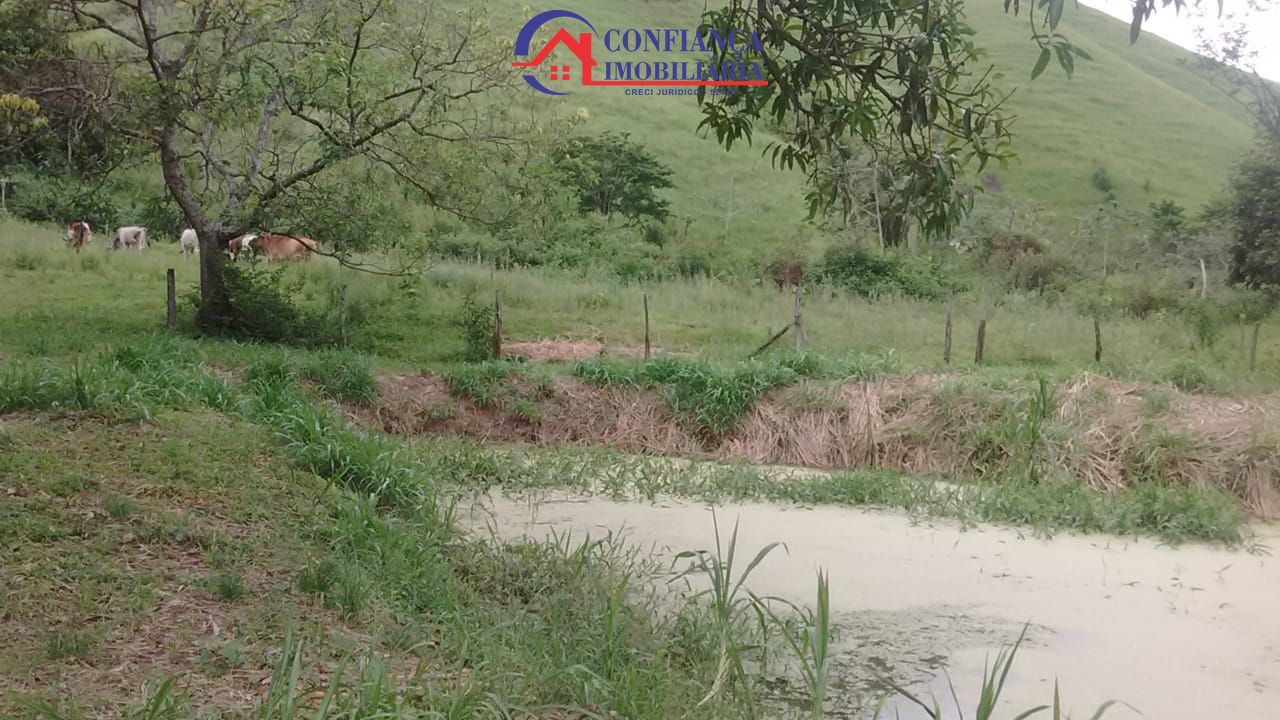 Sítio à venda com 3 quartos, 14500m² - Foto 14