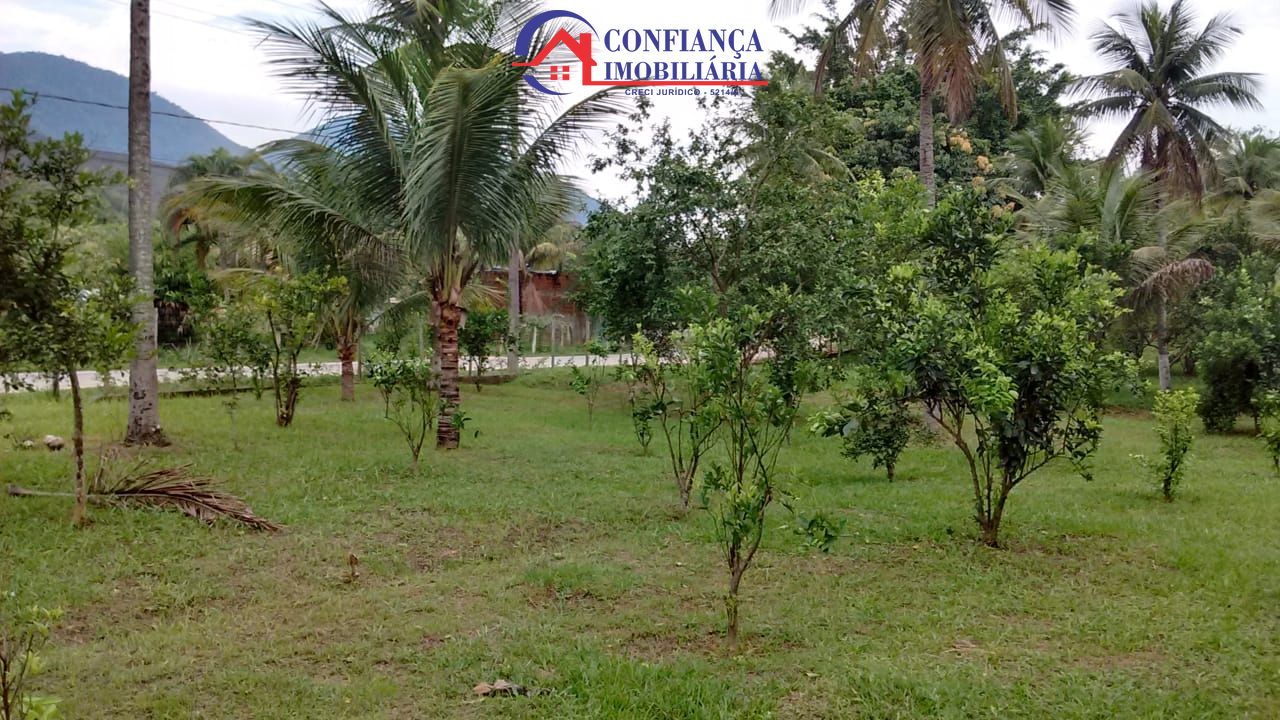 Sítio à venda com 3 quartos, 14500m² - Foto 18