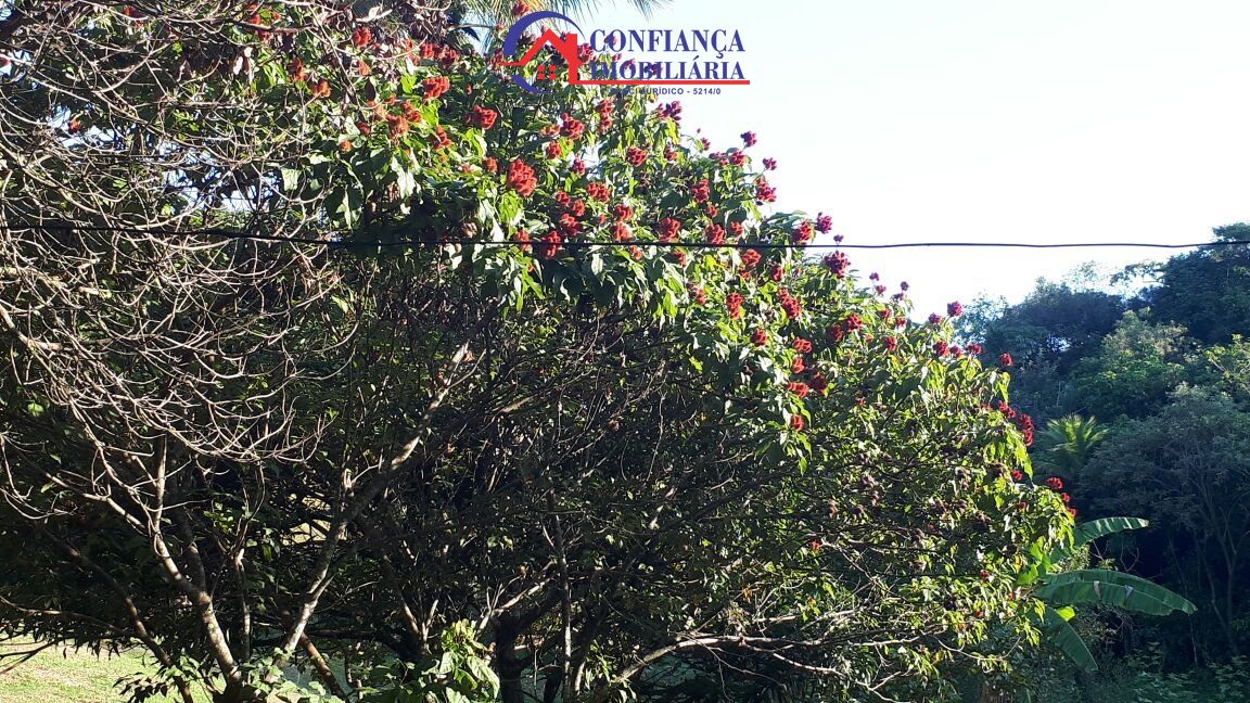 Sítio à venda com 3 quartos, 14500m² - Foto 22